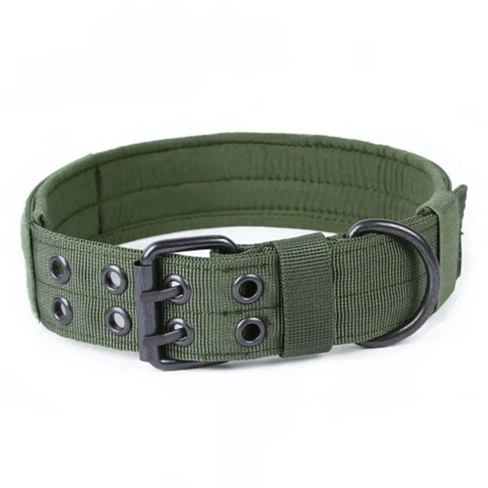 1000D Adjustable Collar With Eyelets