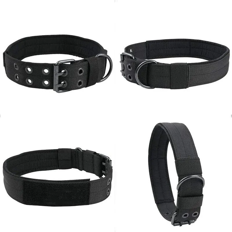 1000D Adjustable Collar With Eyelets