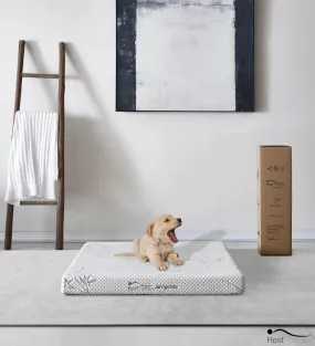 3 Inch Invigorate Bamboo Cool Gel Memory Foam Dog or Cat Bed Pet Mattress - Available in 3 Sizes