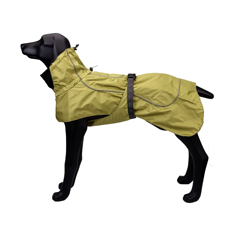 A a Pets' Adventure Raincoat for Dogs