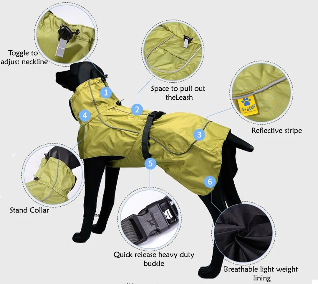 A a Pets' Adventure Raincoat for Dogs