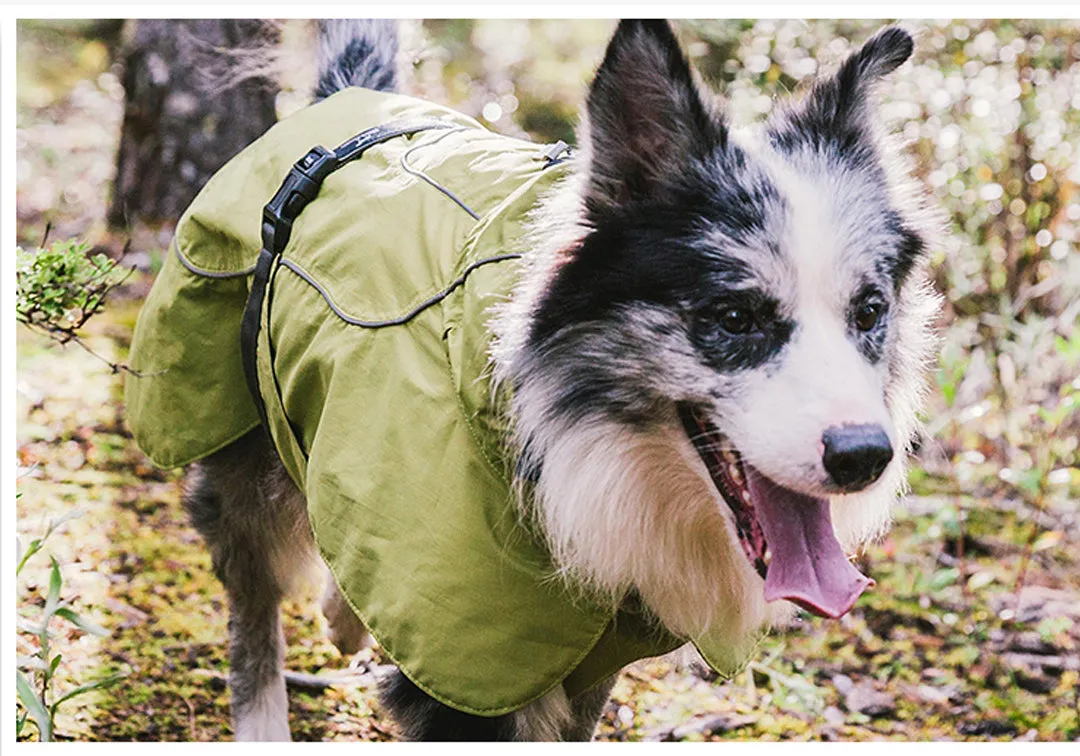 A a Pets' Adventure Raincoat for Dogs