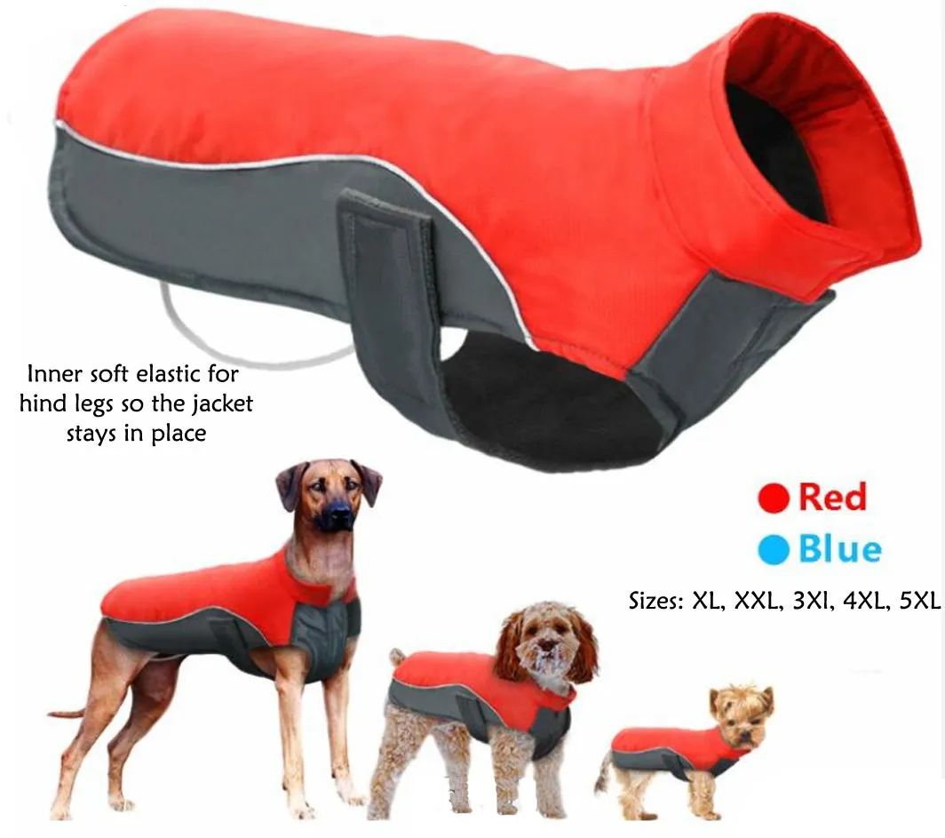 A A Pets' Free & Wild’ Jacket For Dogs & Cats