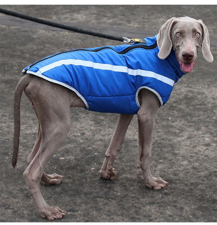 A a Pets' Luxurious Rain & Wind' Protector Jacket for Dogs