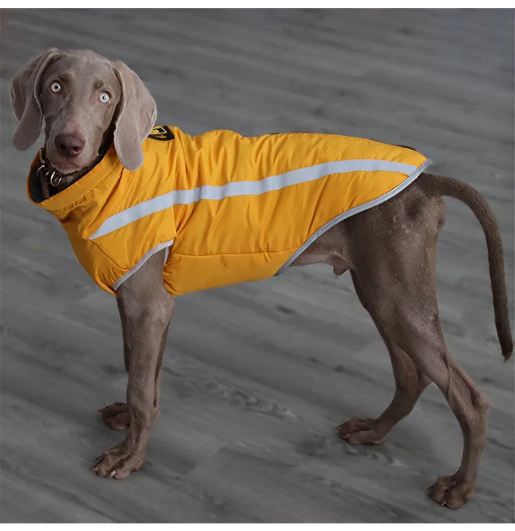 A a Pets' Luxurious Rain & Wind' Protector Jacket for Dogs