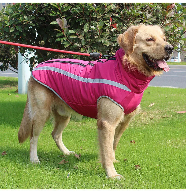 A a Pets' Luxurious Rain & Wind' Protector Jacket for Dogs