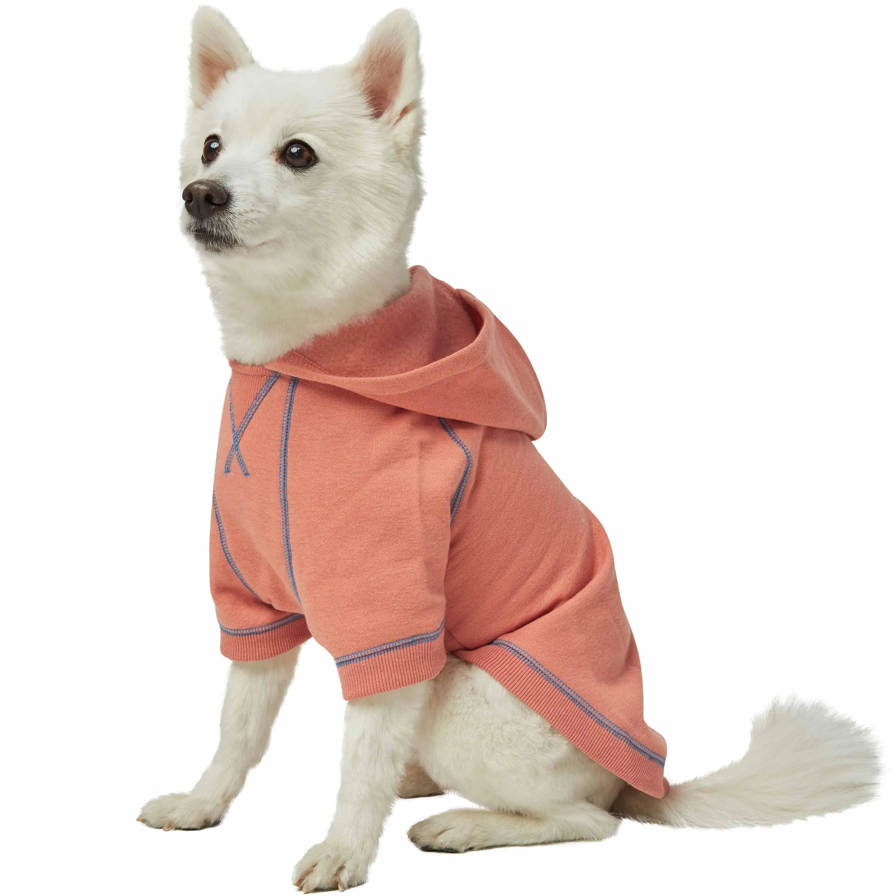 Better Basics Matching Hoodies for Dog & Owner