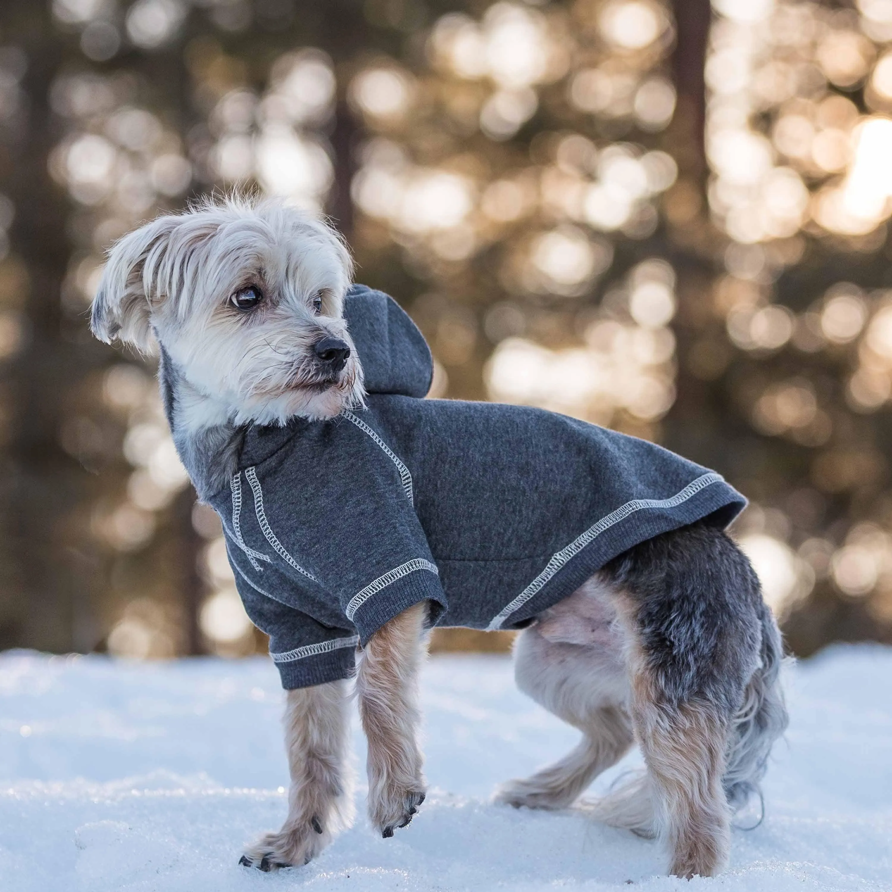 Better Basics Matching Hoodies for Dog & Owner