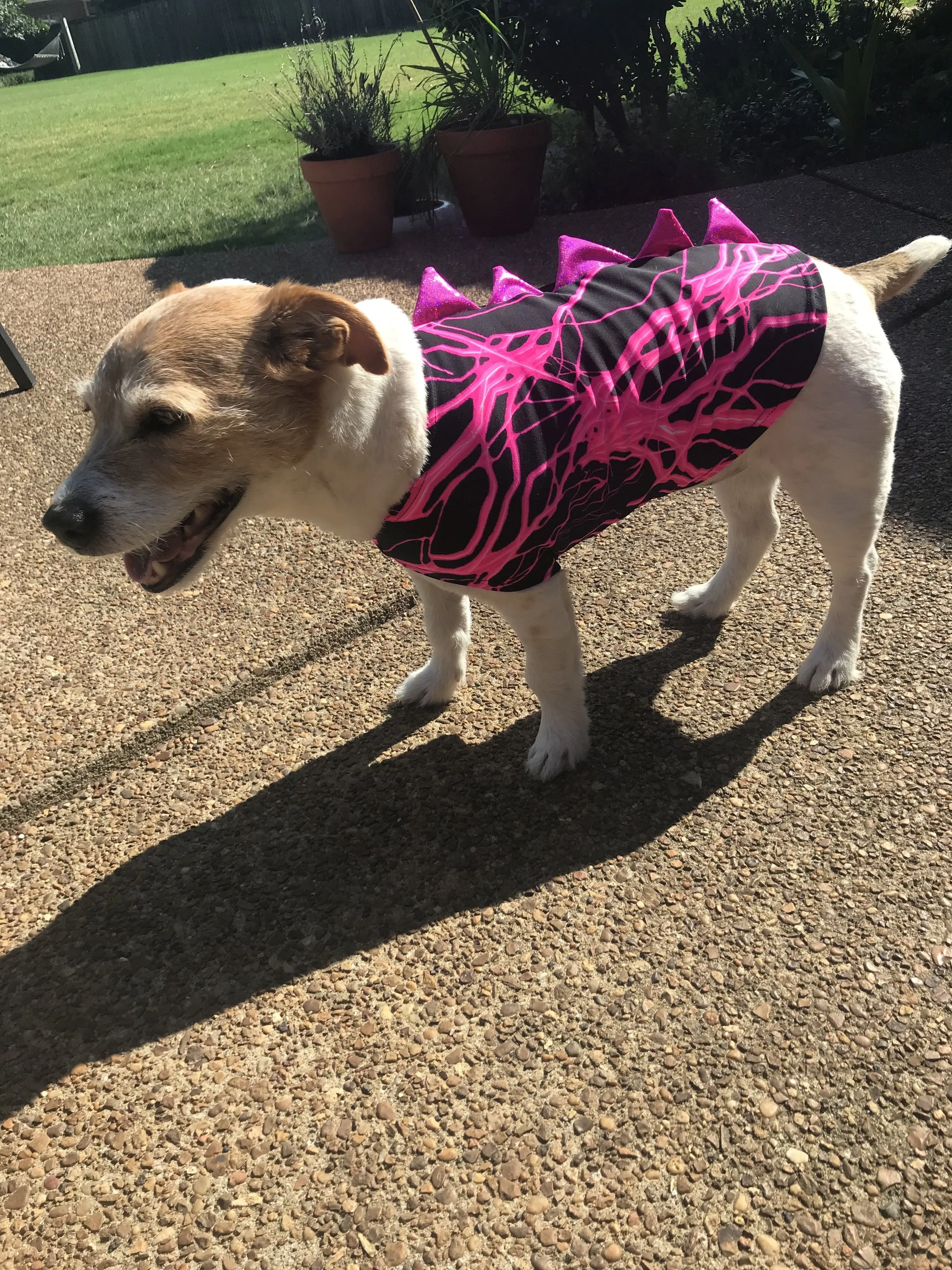 Black and Purple Dragon Spiked Pet Shirt