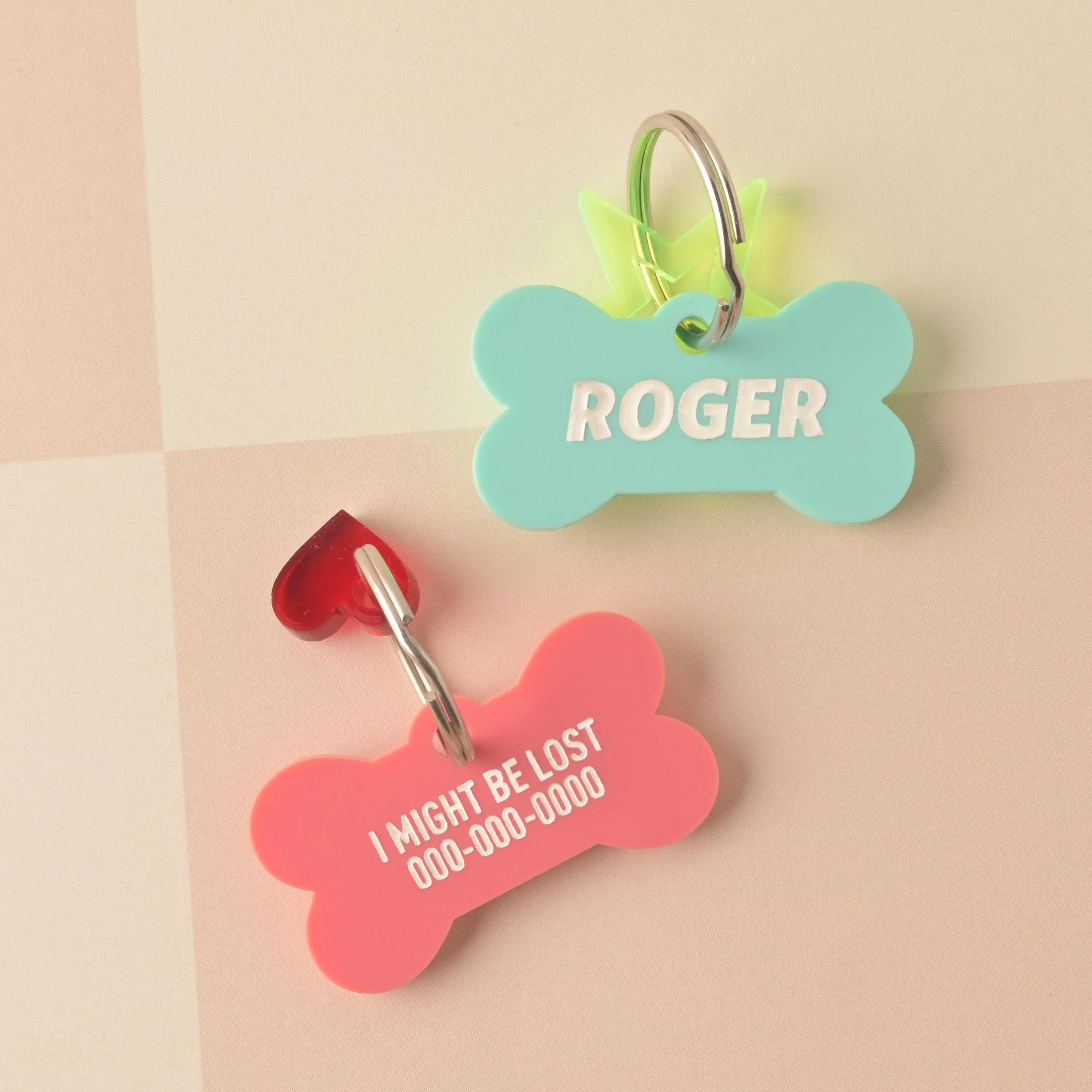 Bones Day Personalized Pet Tag