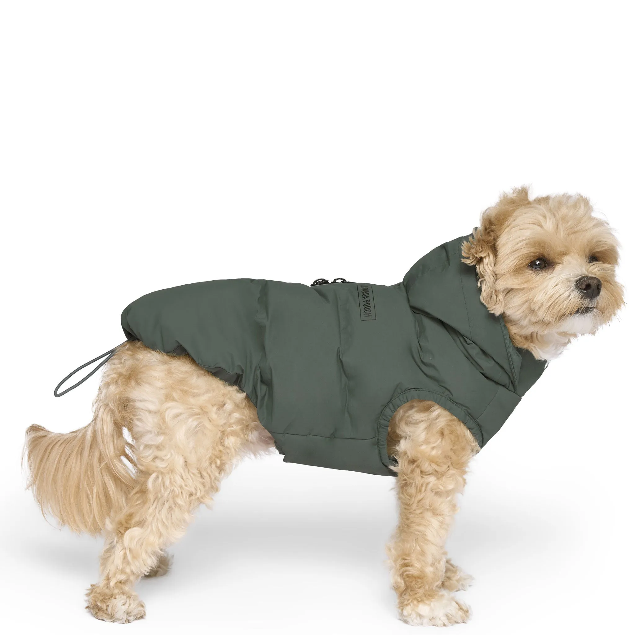 Canada Pooch The Waterproof Puffer - Green