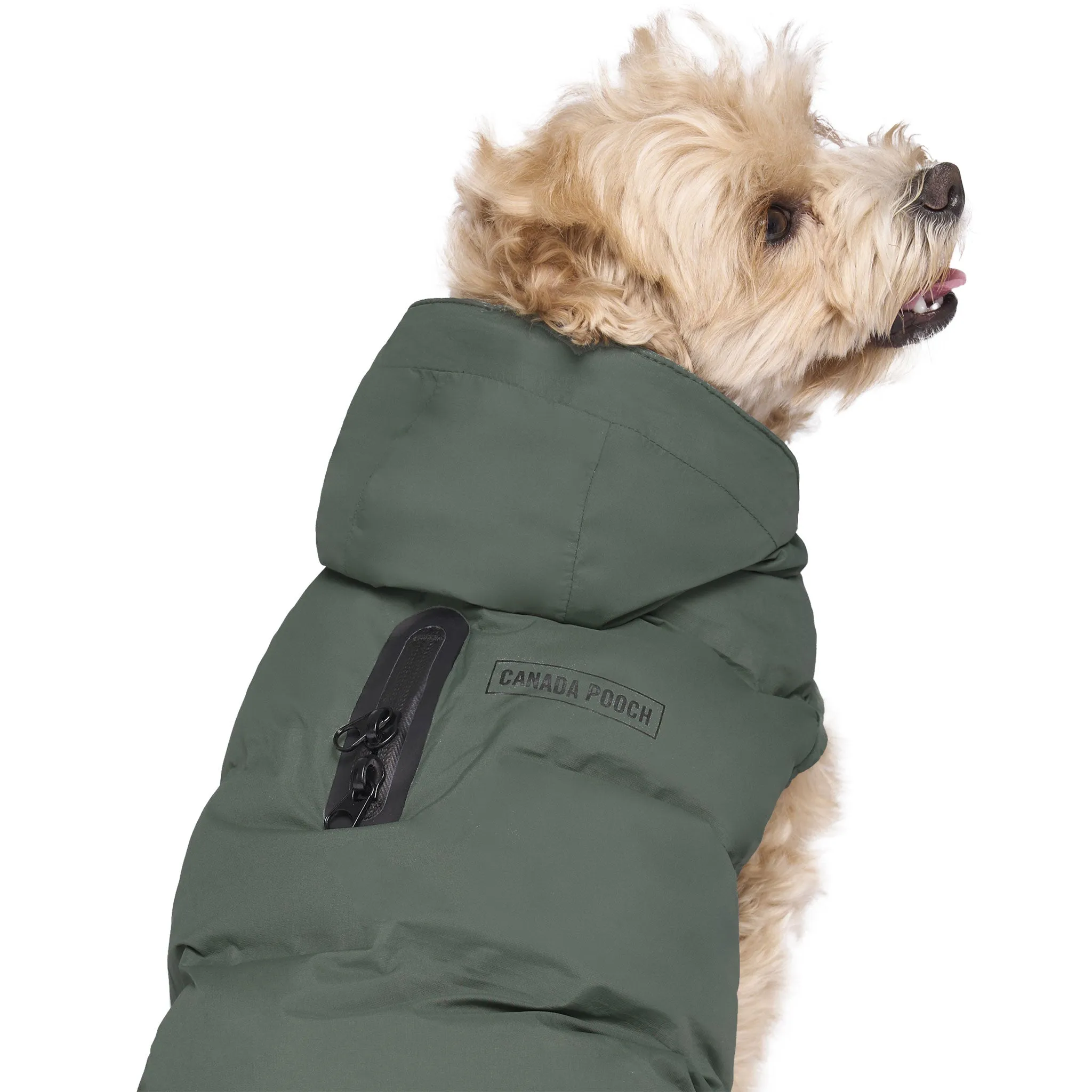 Canada Pooch The Waterproof Puffer - Green