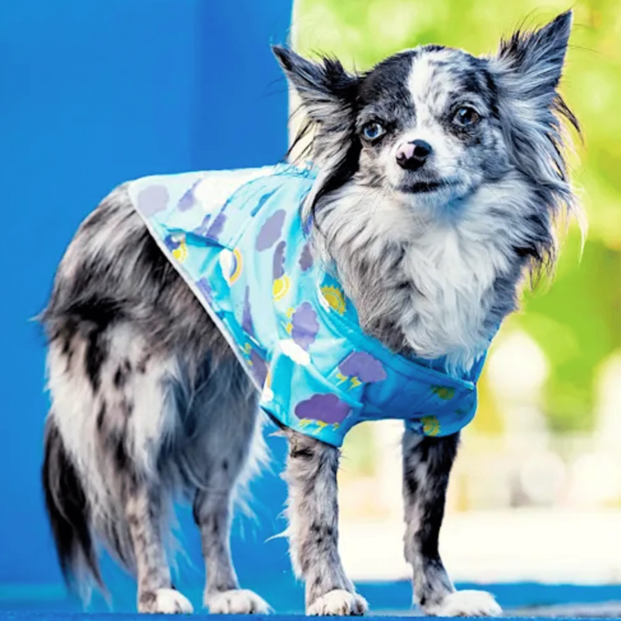 Canada Pooch Torrential Tracker Raincoat