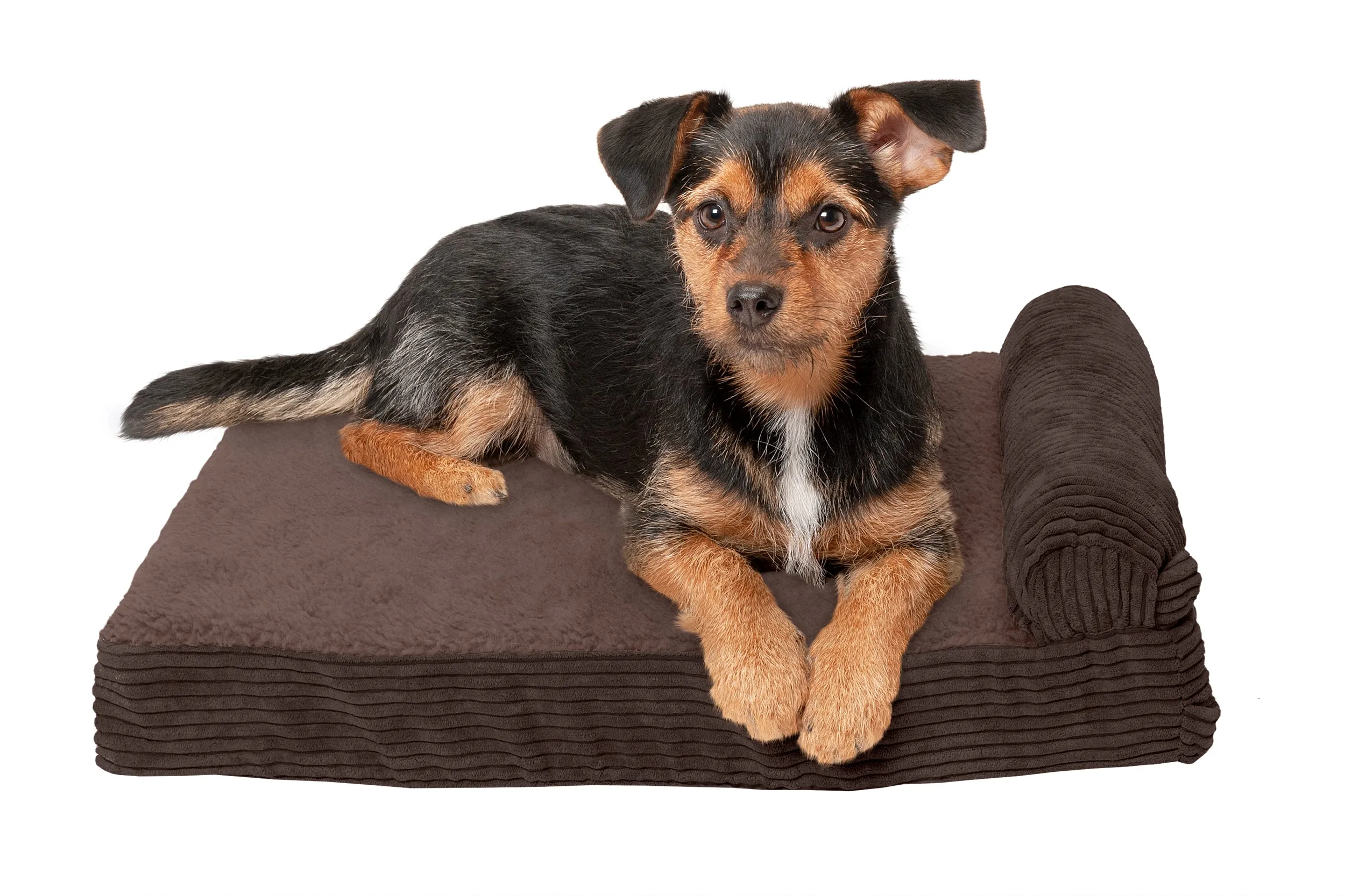 Chaise Lounge Dog Bed - Faux Fleece & Corduroy