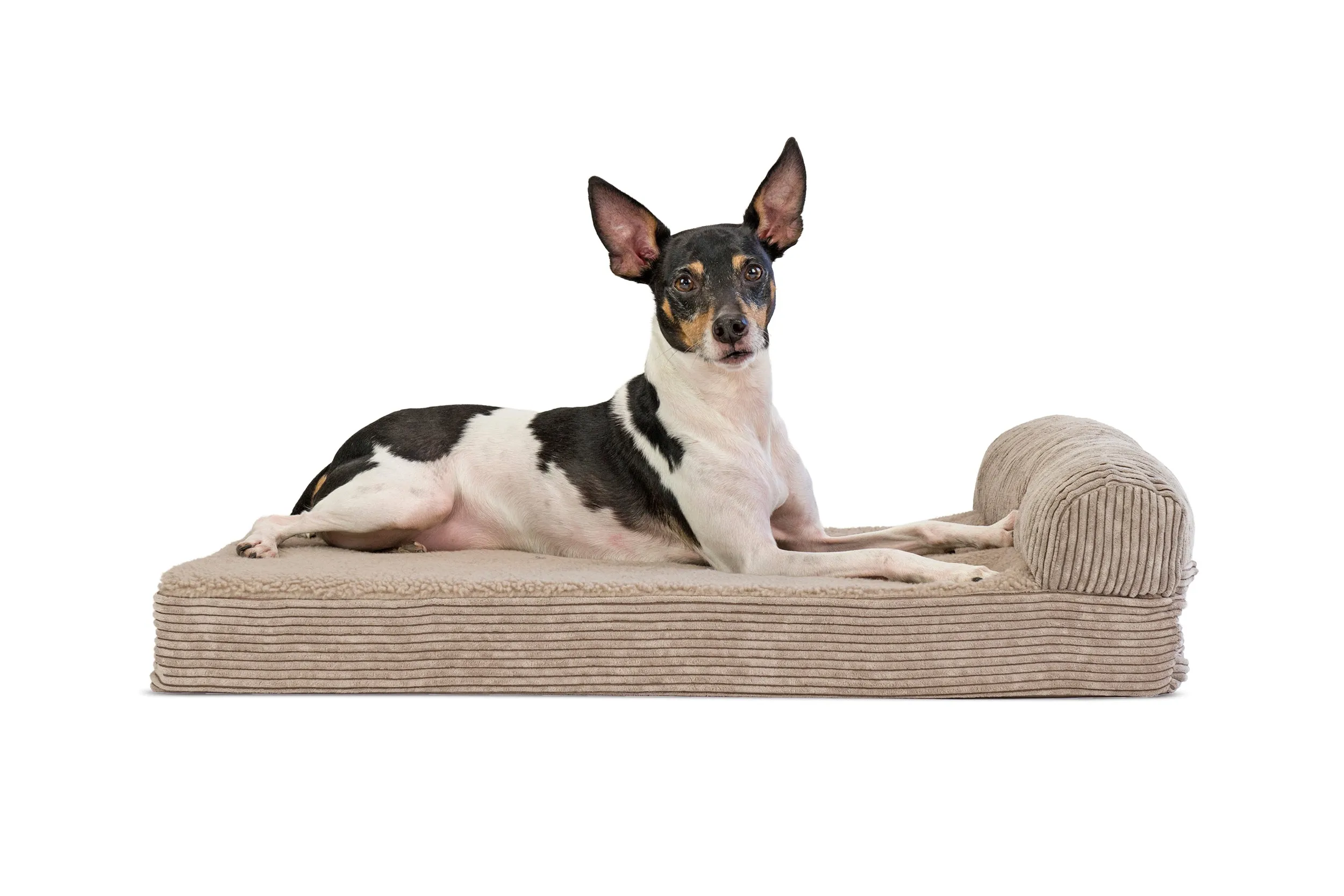 Chaise Lounge Dog Bed - Faux Fleece & Corduroy