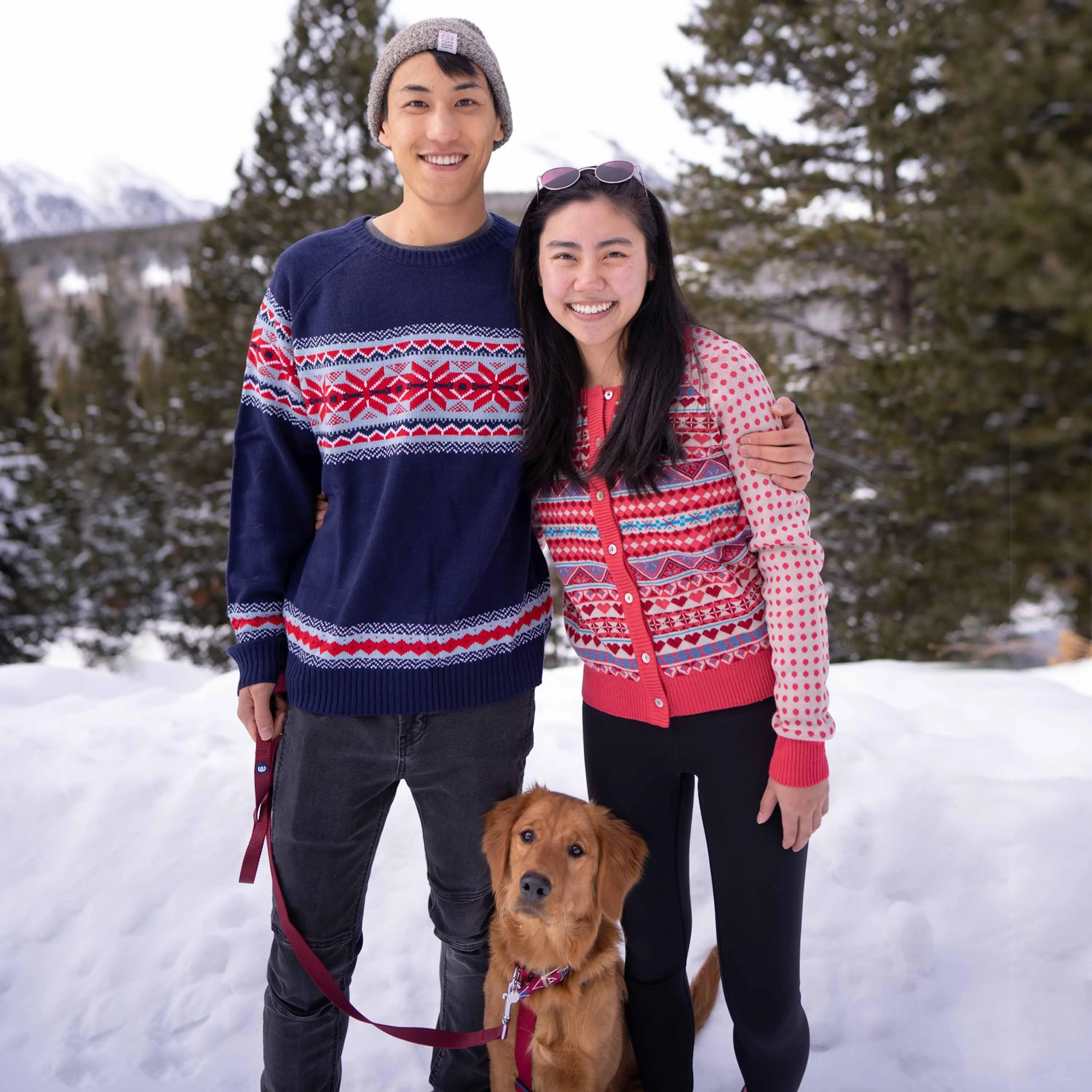 Charm Fair Isle Dog Sweater