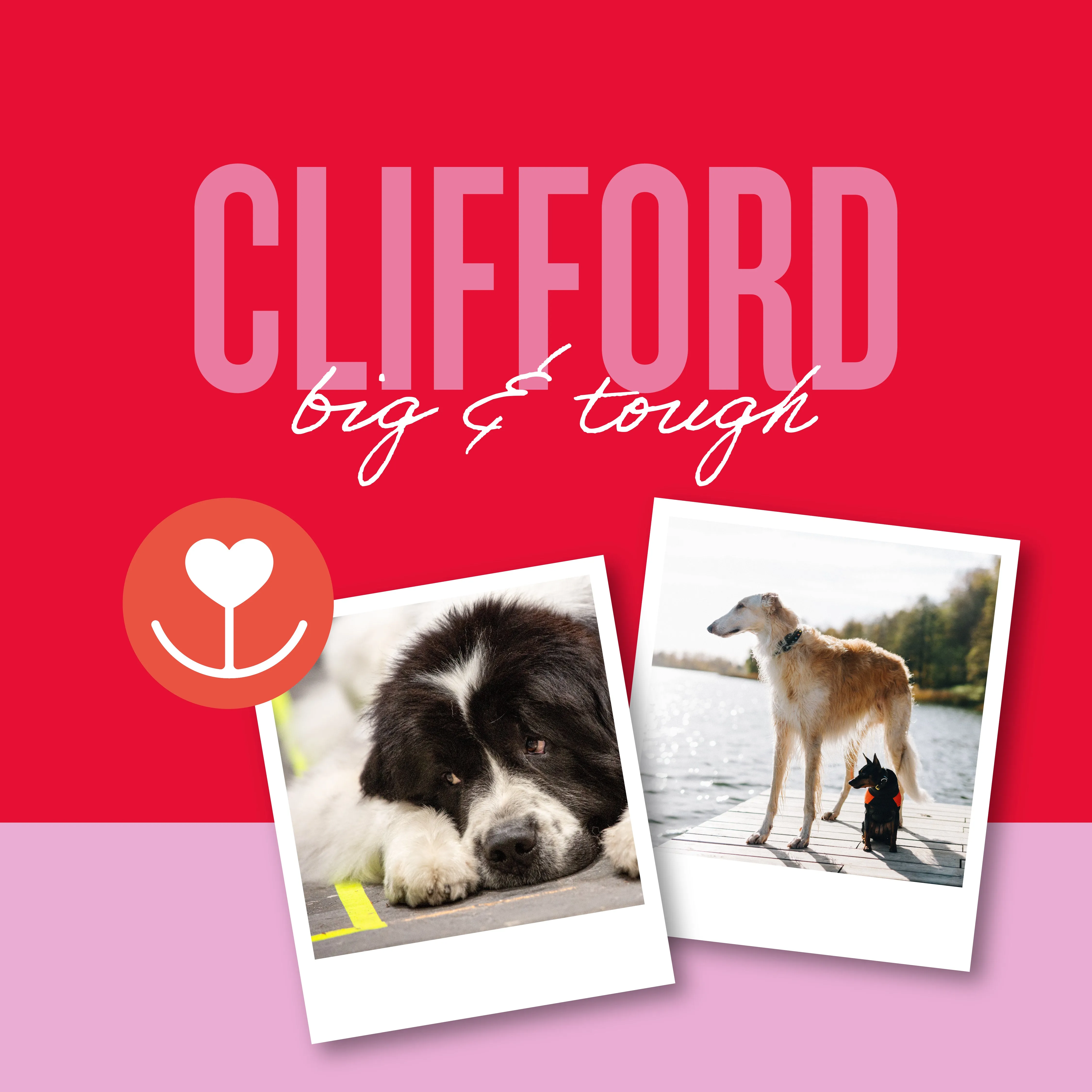 Clifford, Large Disco Personalized Pet Tag