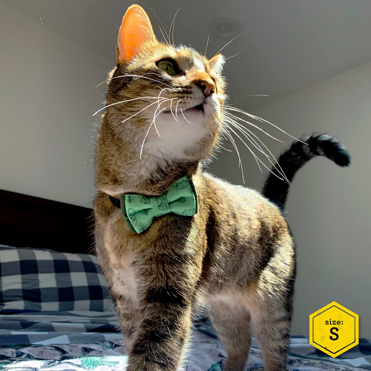 Critical Role Pet Bow Tie Set 2-Pack