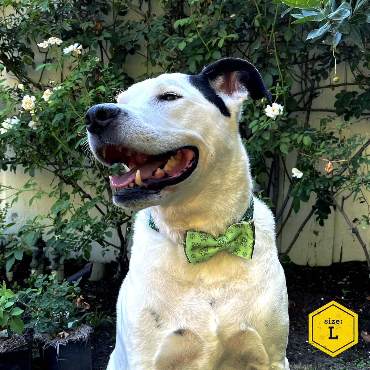 Critical Role Pet Bow Tie Set 2-Pack