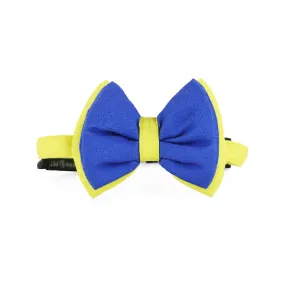 Dear Pet Double Trouble Blue & Lime Dog Bow Tie