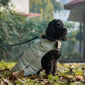 Dear Pet Quilted Jacket for Dogs in Mint