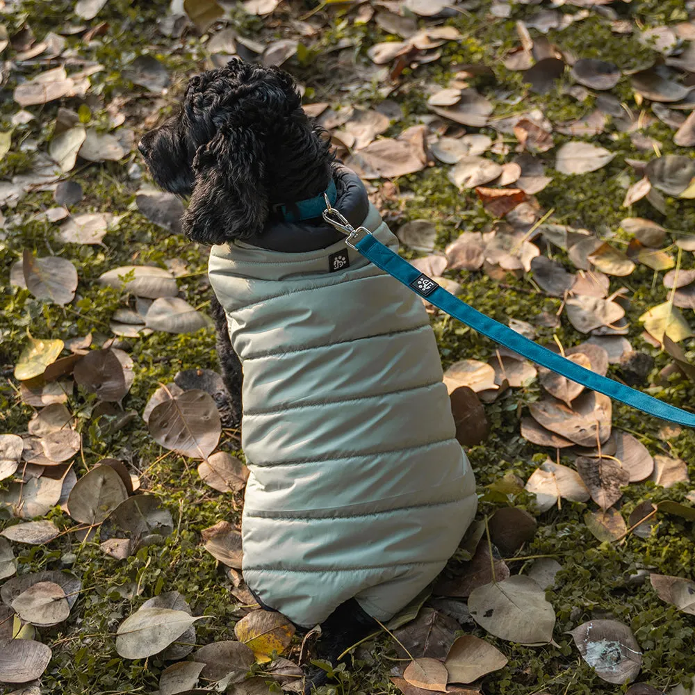 Dear Pet Quilted Jacket for Dogs in Mint