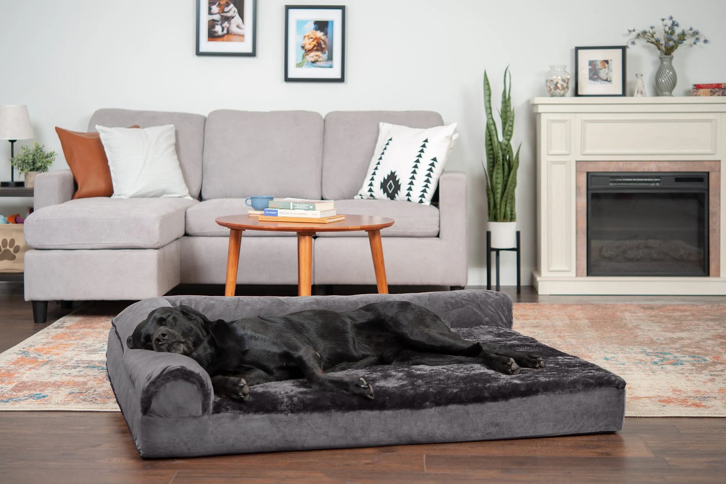 Deluxe Chaise Lounge Dog Bed - Plush & Velvet