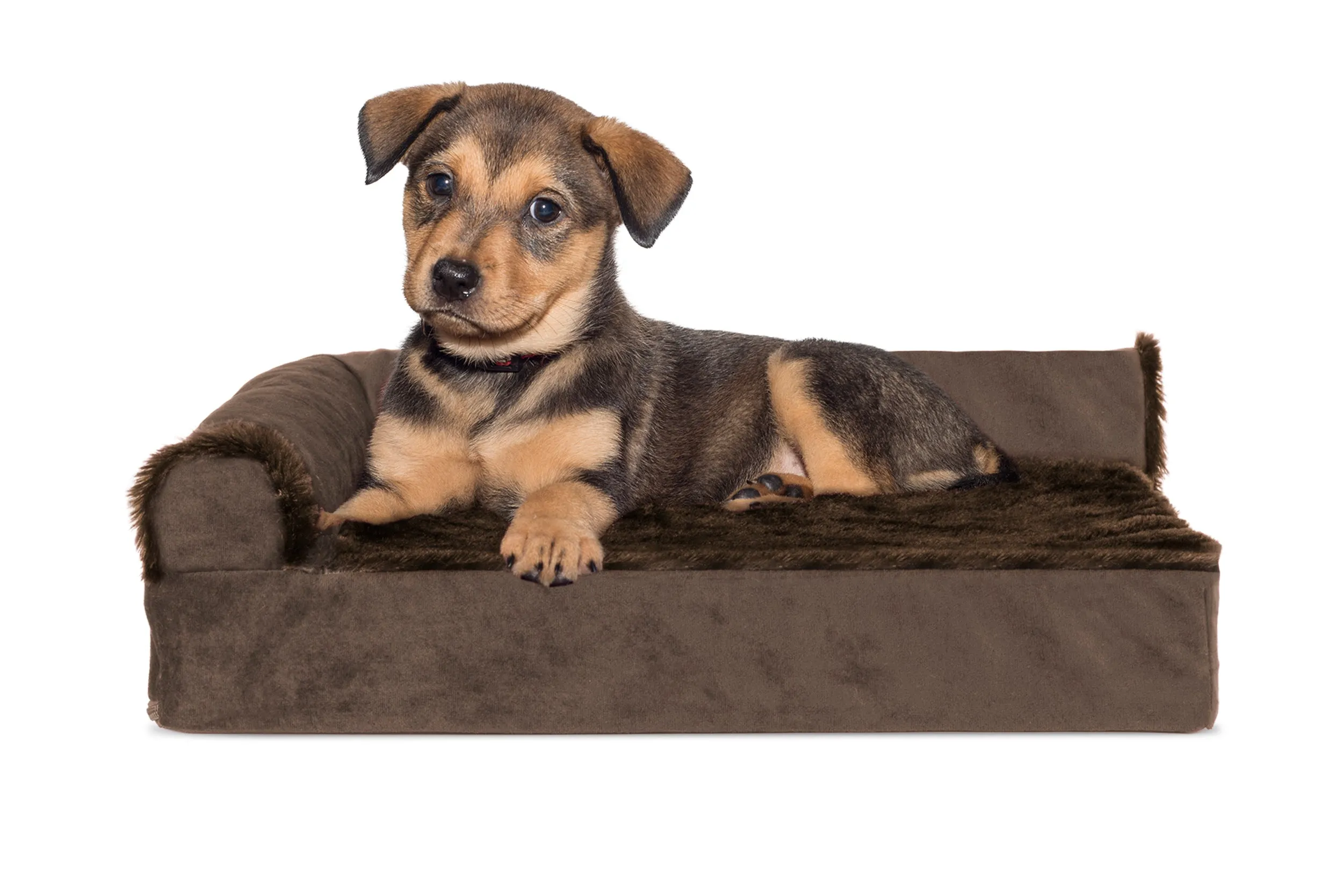 Deluxe Chaise Lounge Dog Bed - Plush & Velvet