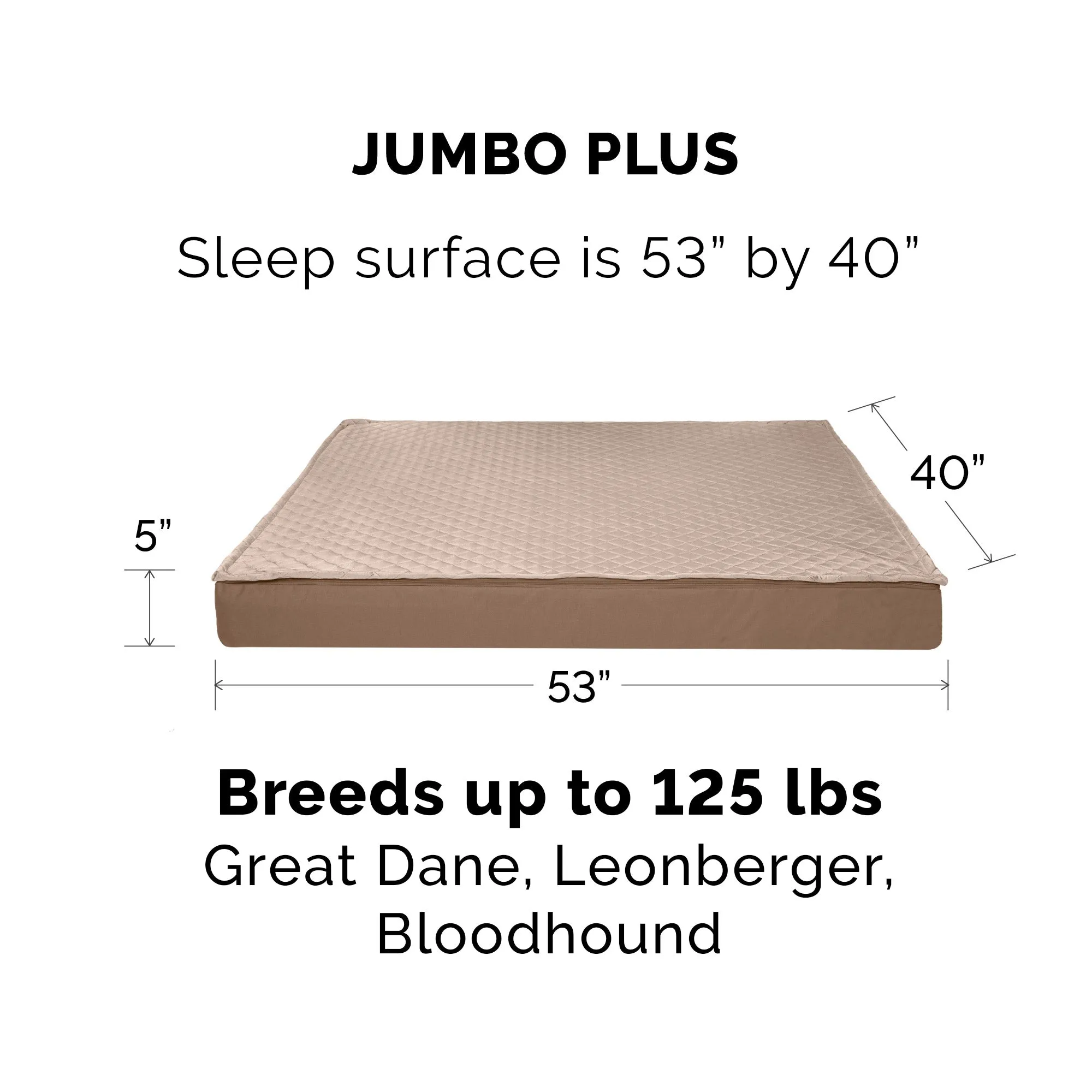 Deluxe Mattress Dog Bed - Indoor/Outdoor Quilt Top Convertible