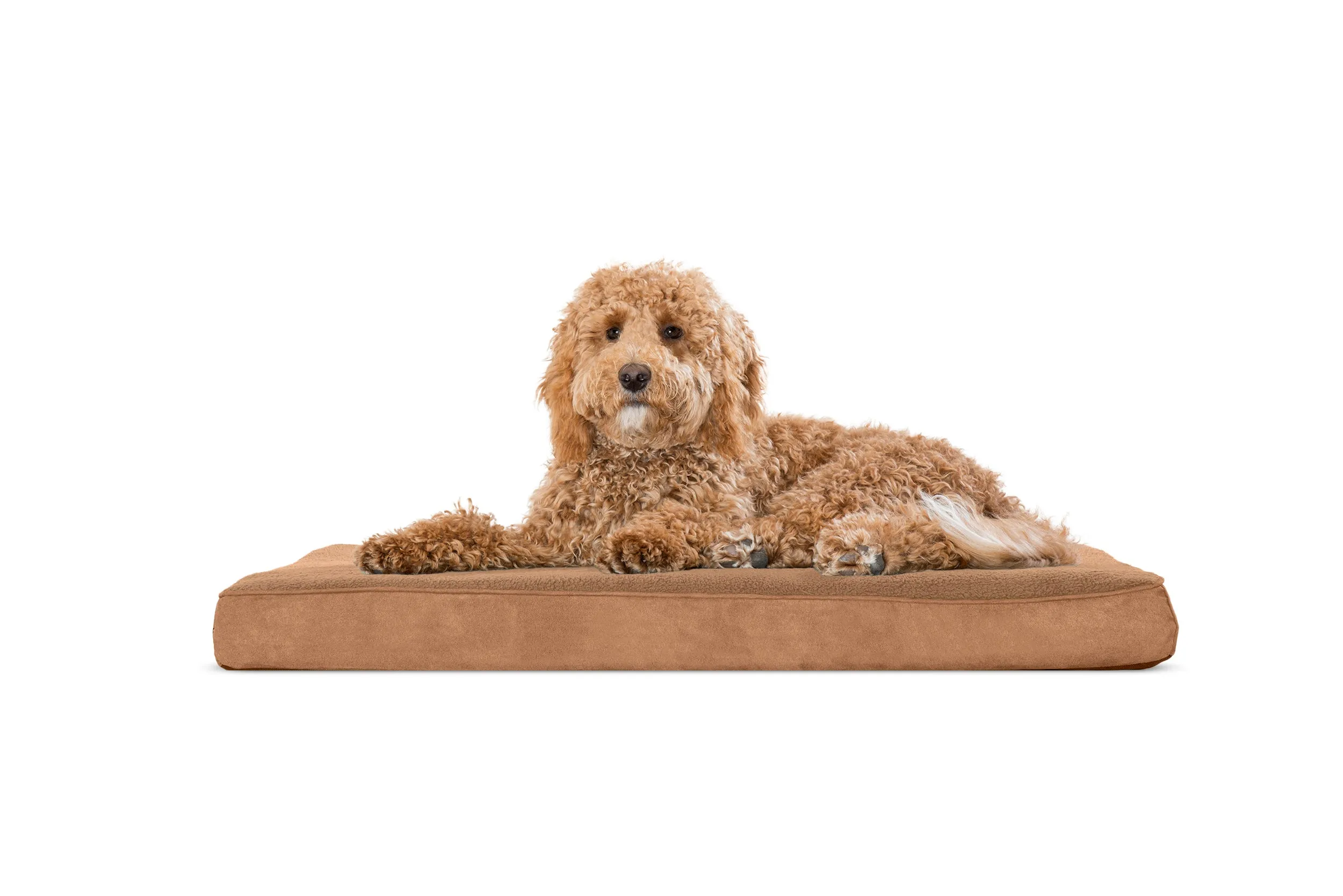 Deluxe Mattress Dog Bed - Terry & Suede