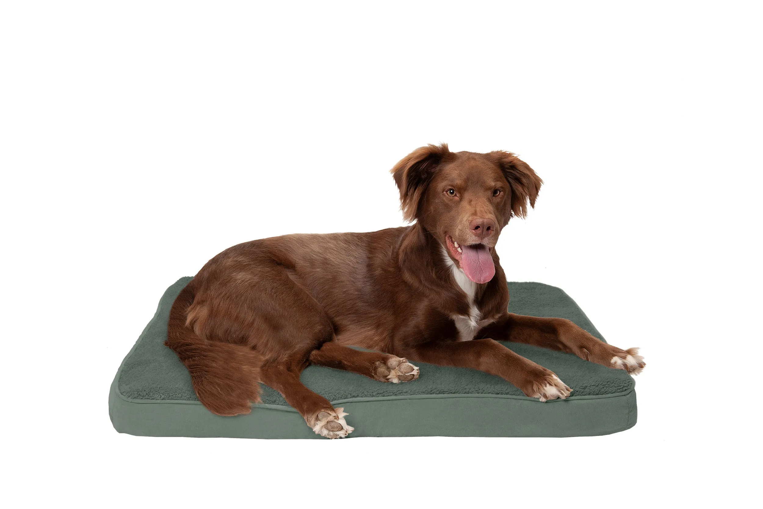 Deluxe Mattress Dog Bed - Terry & Suede