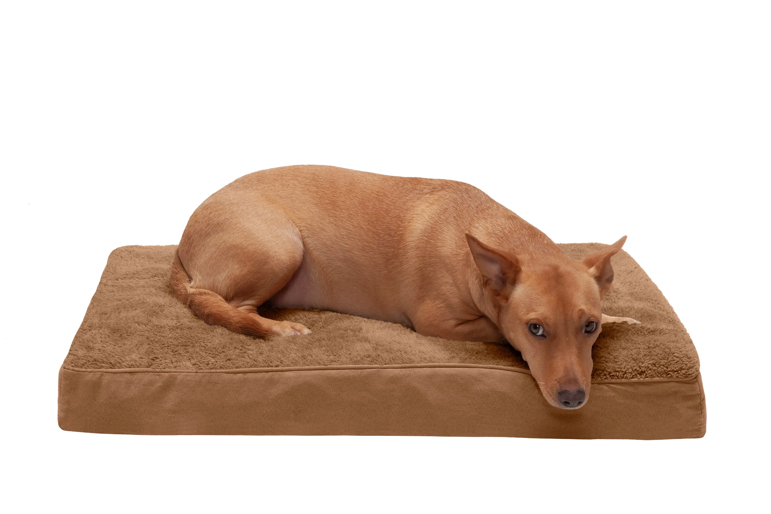 Deluxe Mattress Dog Bed - Terry & Suede