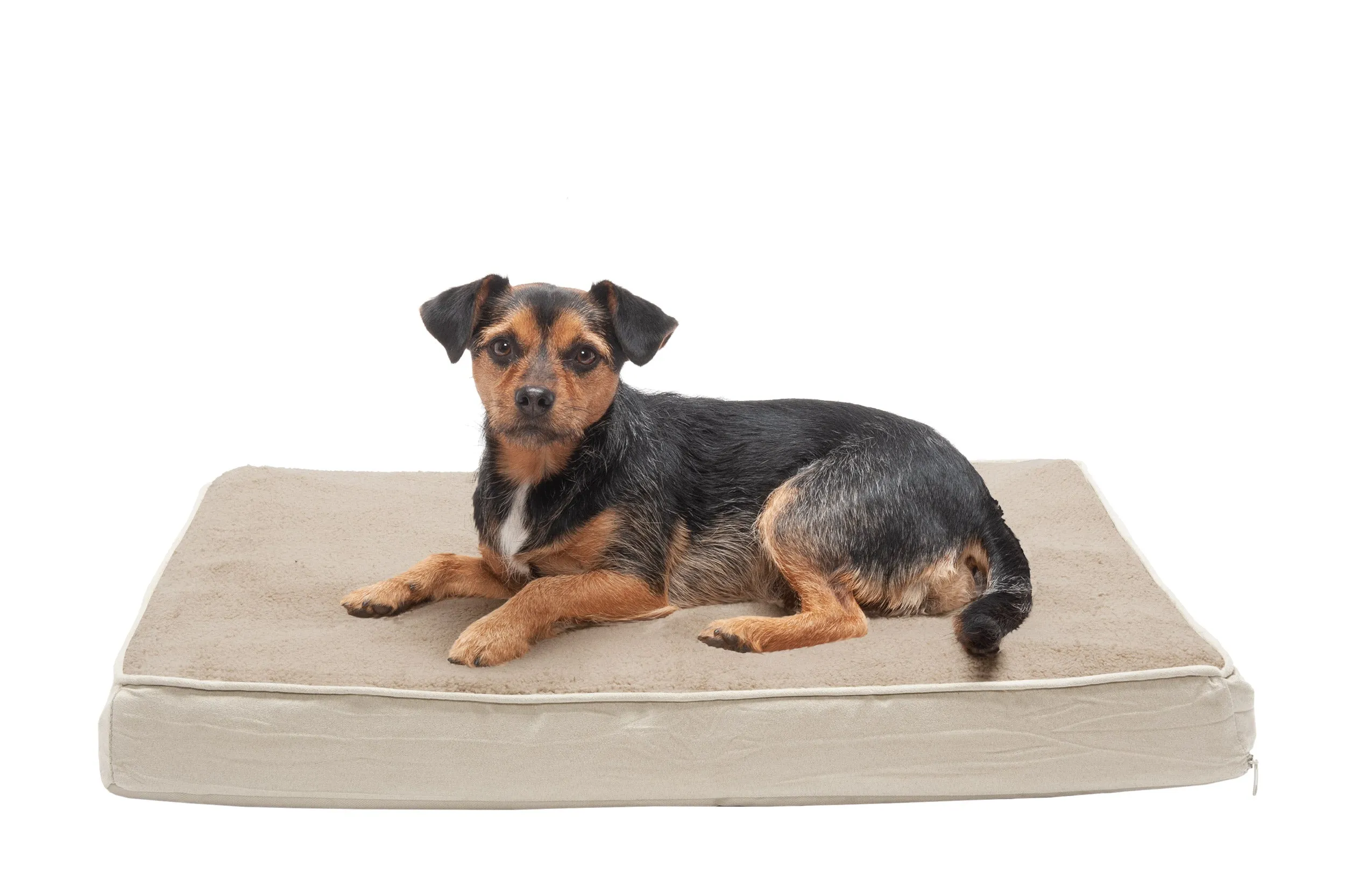 Deluxe Mattress Dog Bed - Terry & Suede