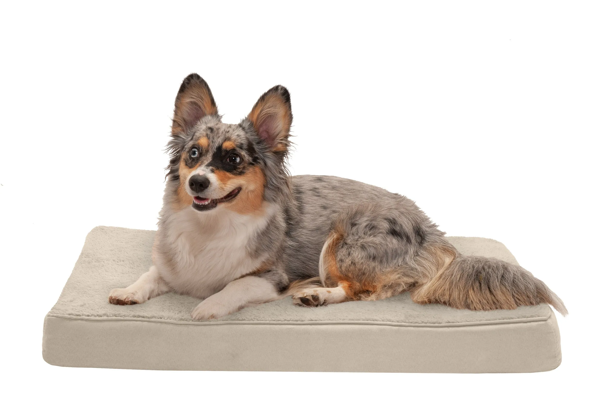 Deluxe Mattress Dog Bed - Terry & Suede