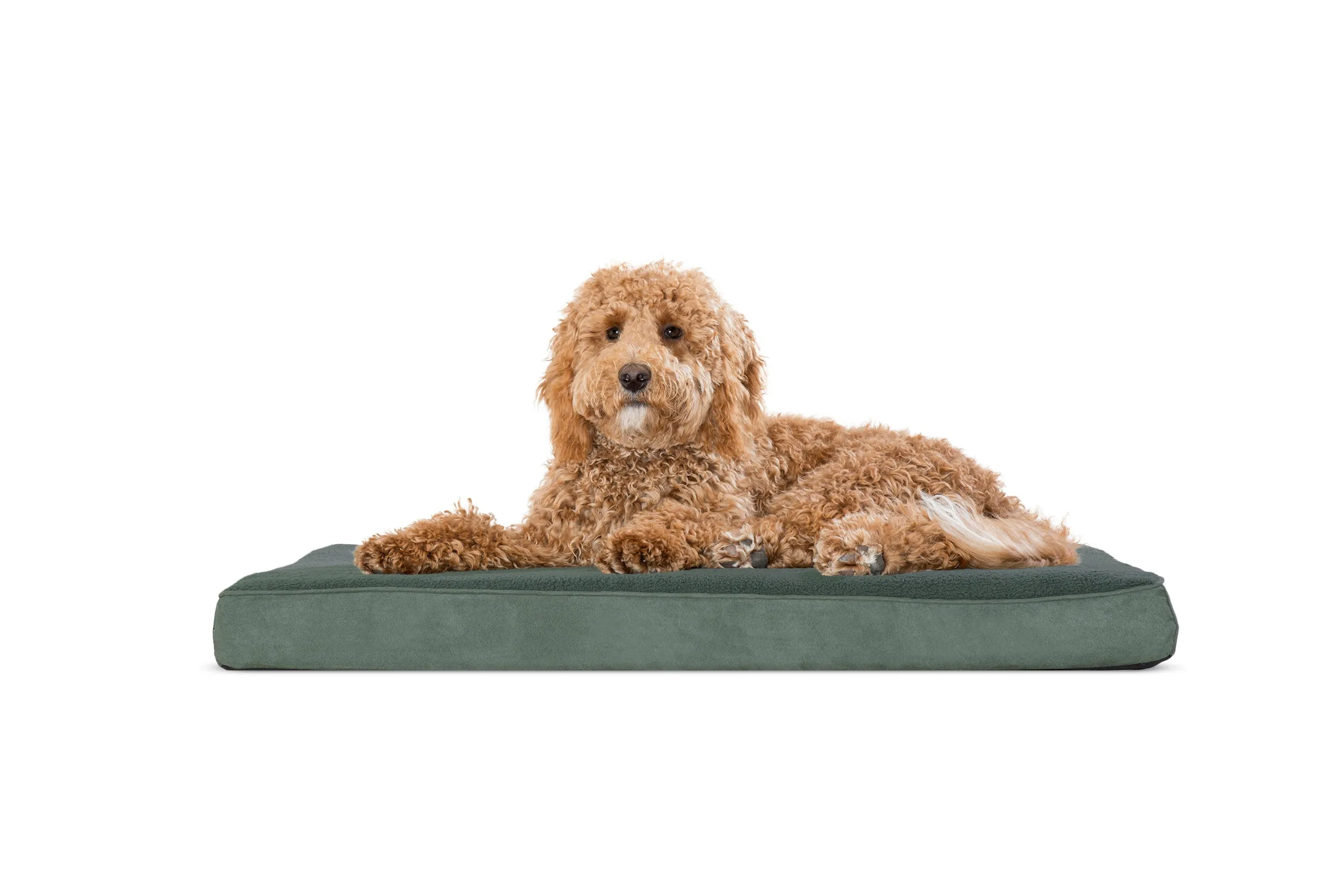 Deluxe Mattress Dog Bed - Terry & Suede