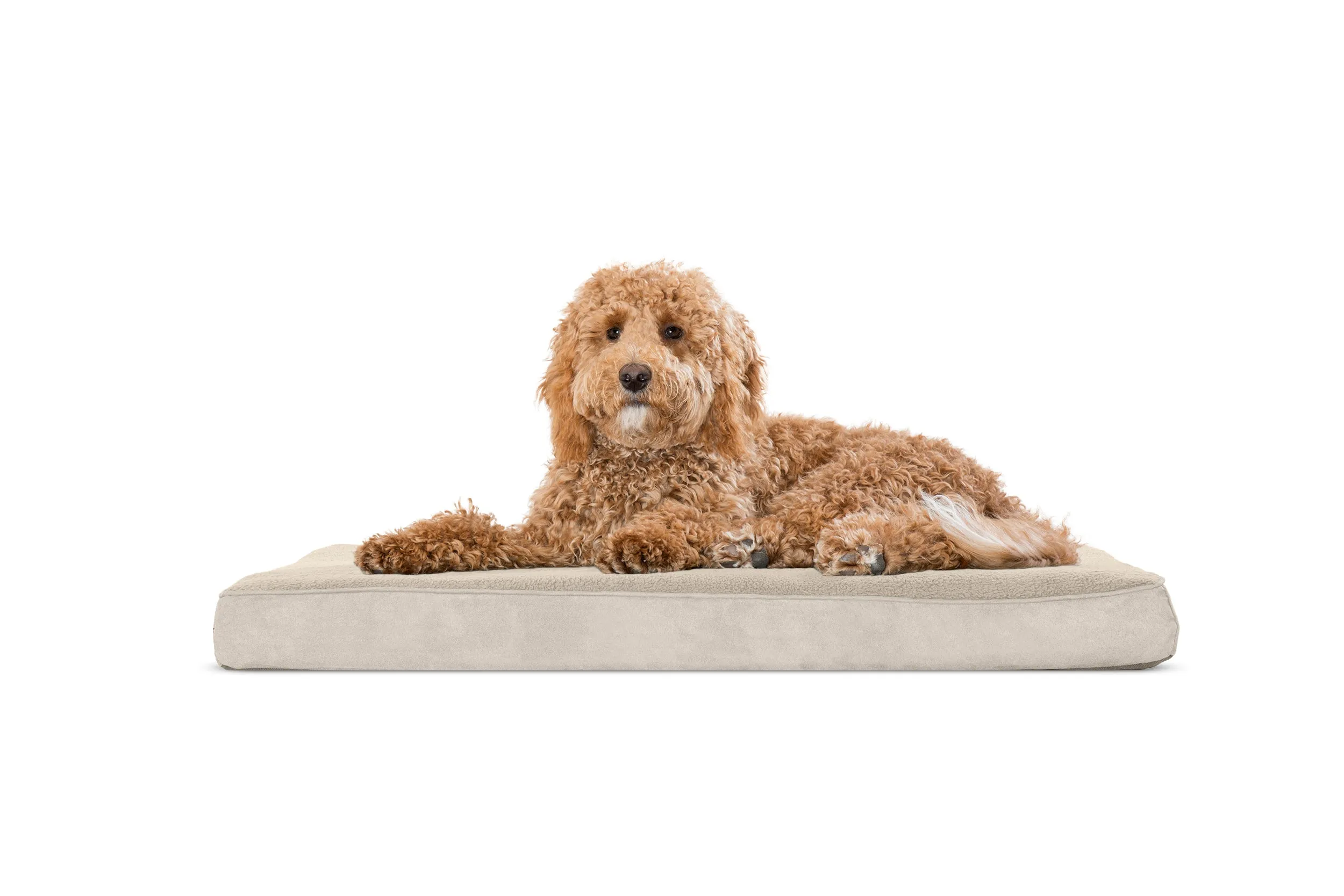 Deluxe Mattress Dog Bed - Terry & Suede