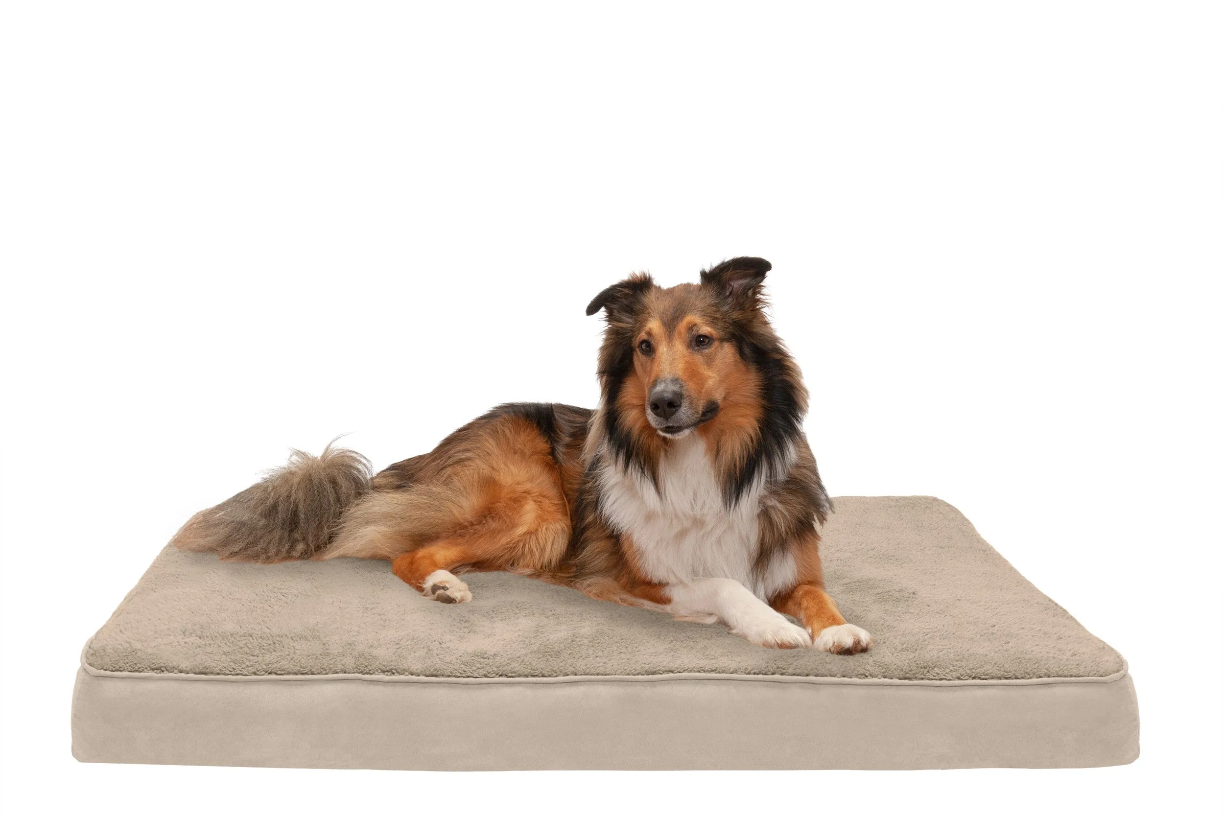 Deluxe Mattress Dog Bed - Terry & Suede