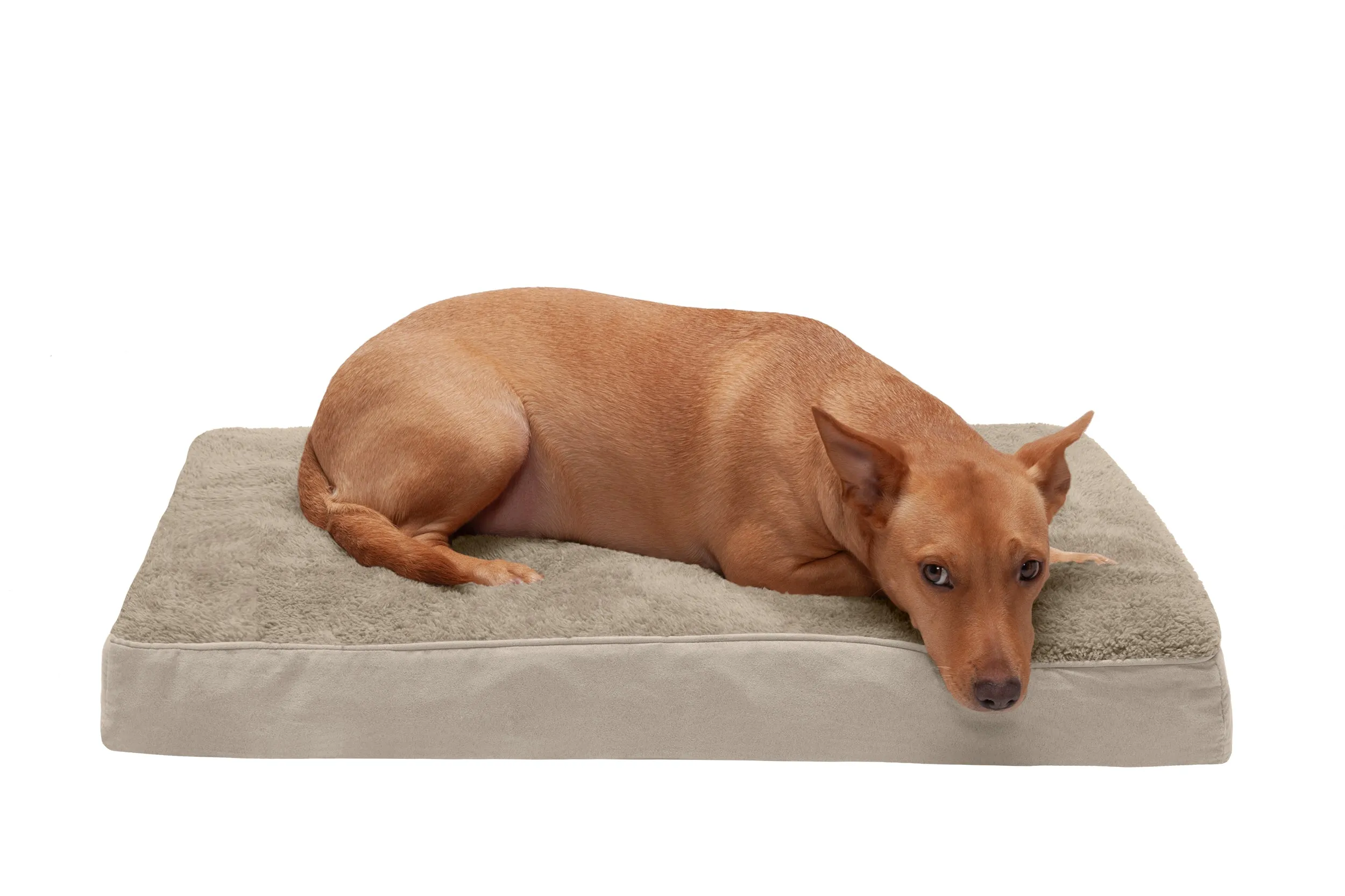 Deluxe Mattress Dog Bed - Terry & Suede