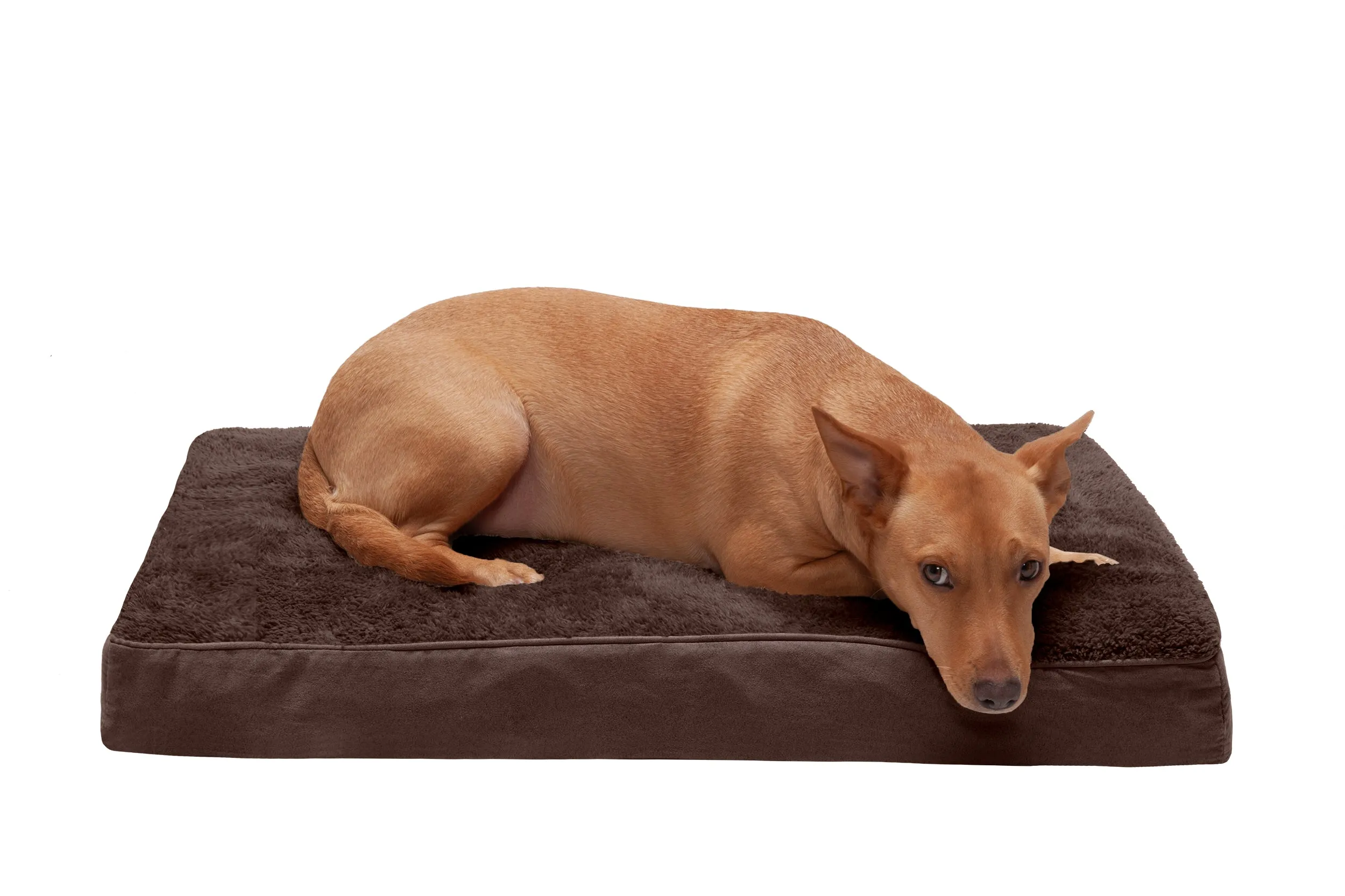 Deluxe Mattress Dog Bed - Terry & Suede