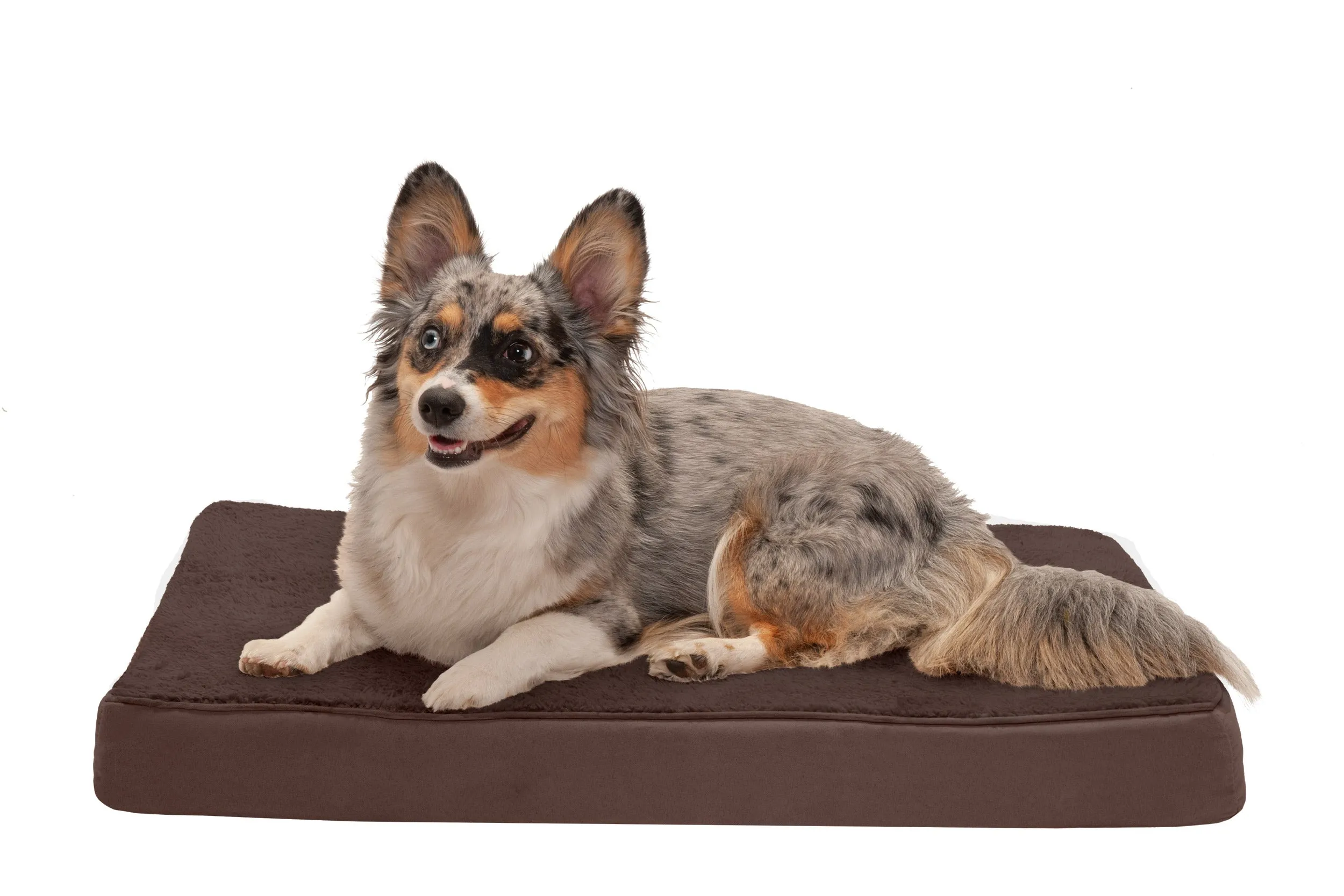 Deluxe Mattress Dog Bed - Terry & Suede