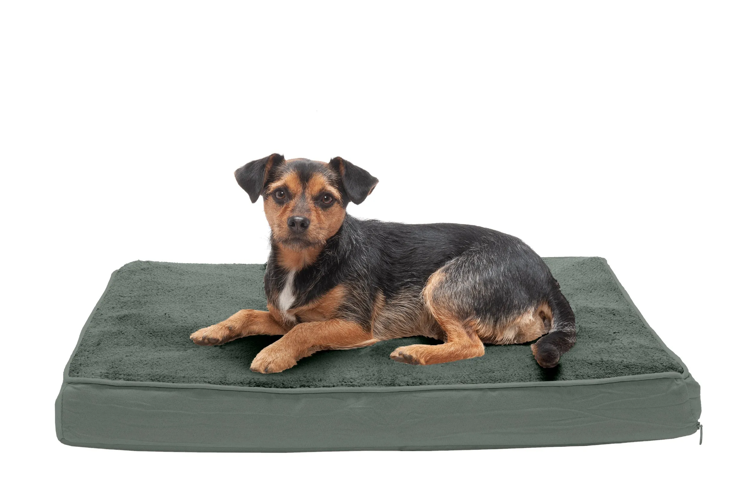 Deluxe Mattress Dog Bed - Terry & Suede