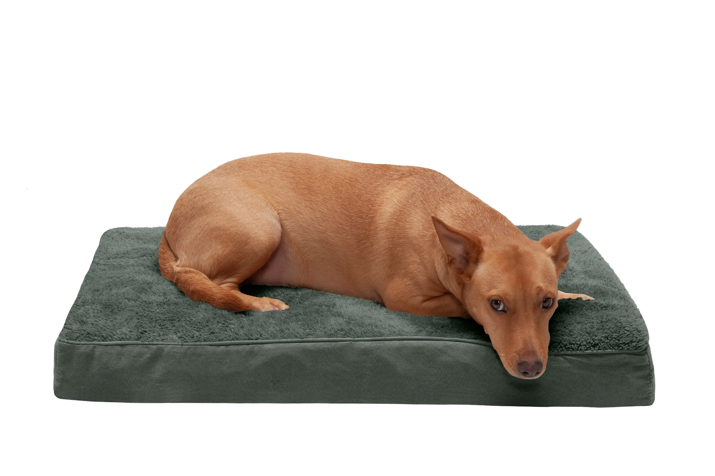 Deluxe Mattress Dog Bed - Terry & Suede