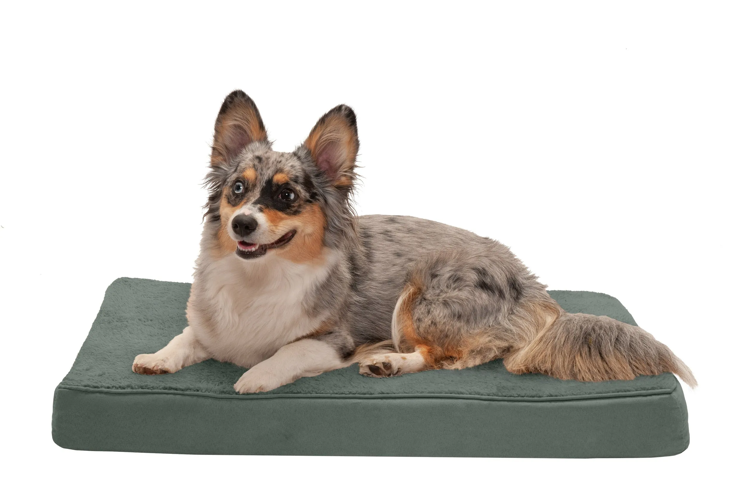 Deluxe Mattress Dog Bed - Terry & Suede