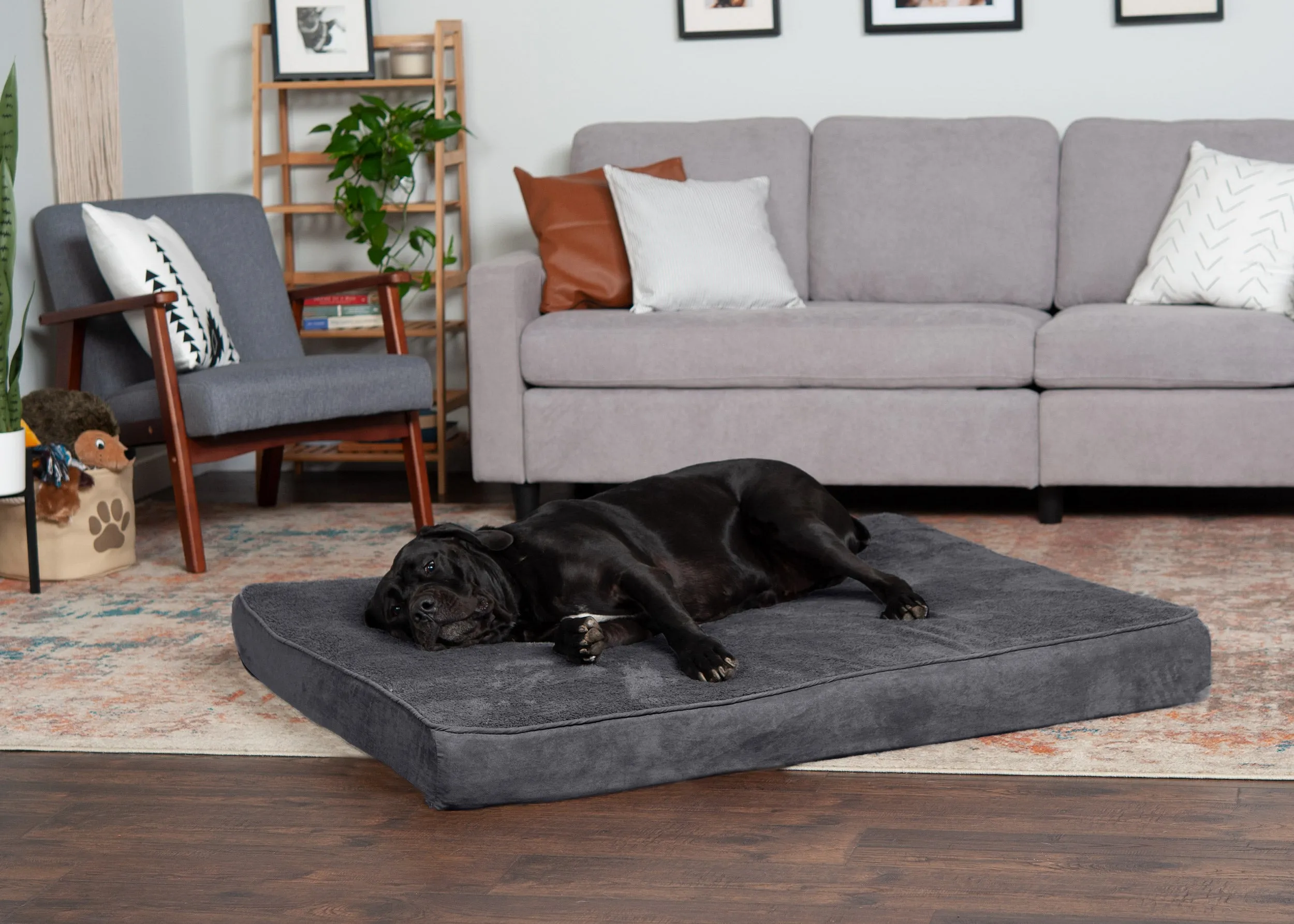 Deluxe Mattress Dog Bed - Terry & Suede