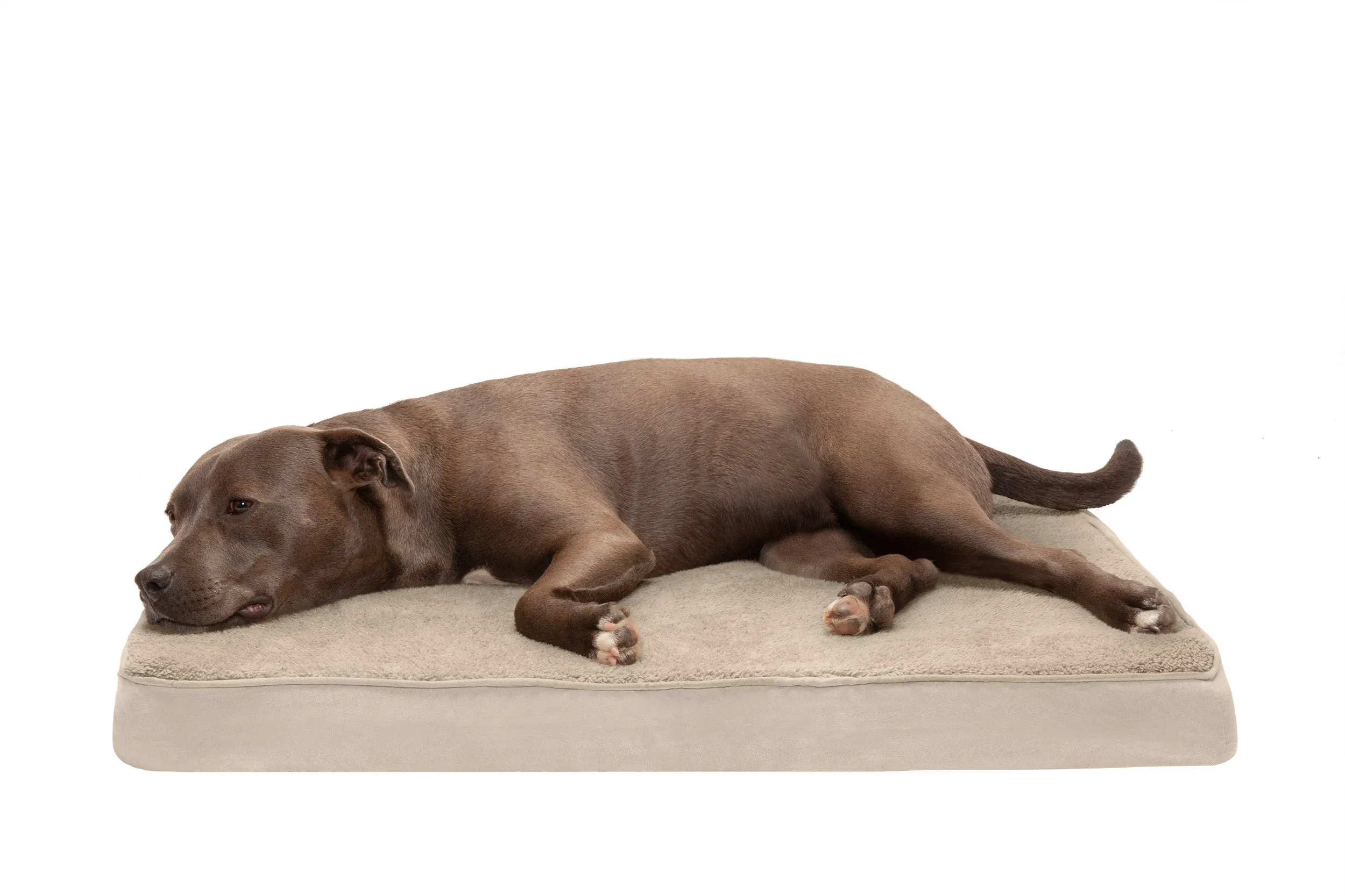 Deluxe Mattress Dog Bed - Terry & Suede