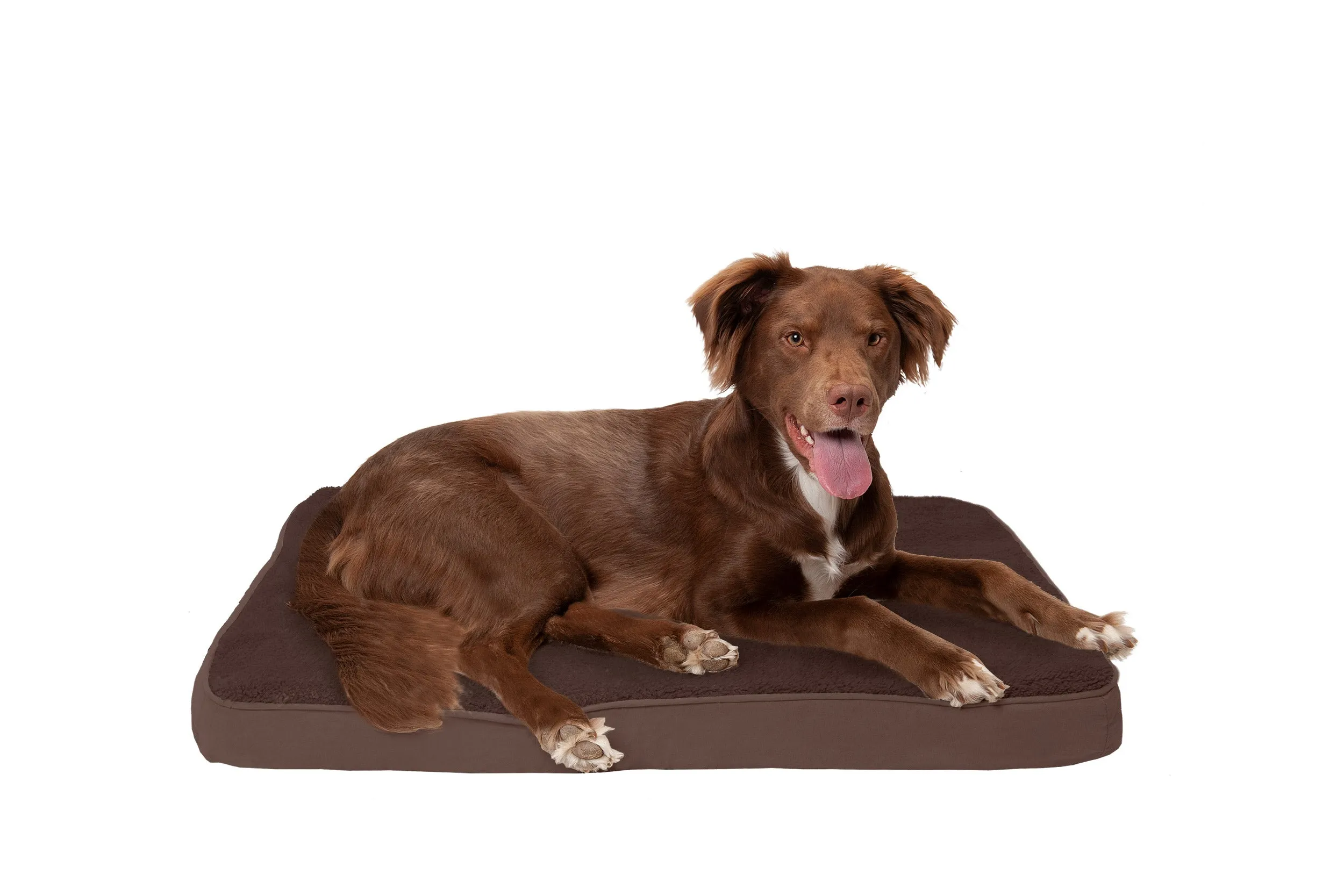 Deluxe Mattress Dog Bed - Terry & Suede