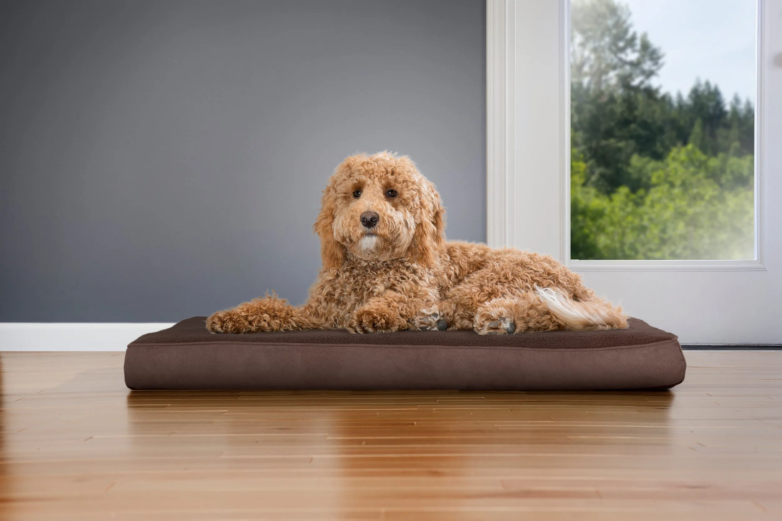 Deluxe Mattress Dog Bed - Terry & Suede