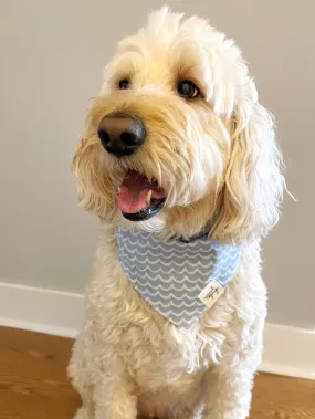 Dog Bandana - Perfect Wave Beach Blue