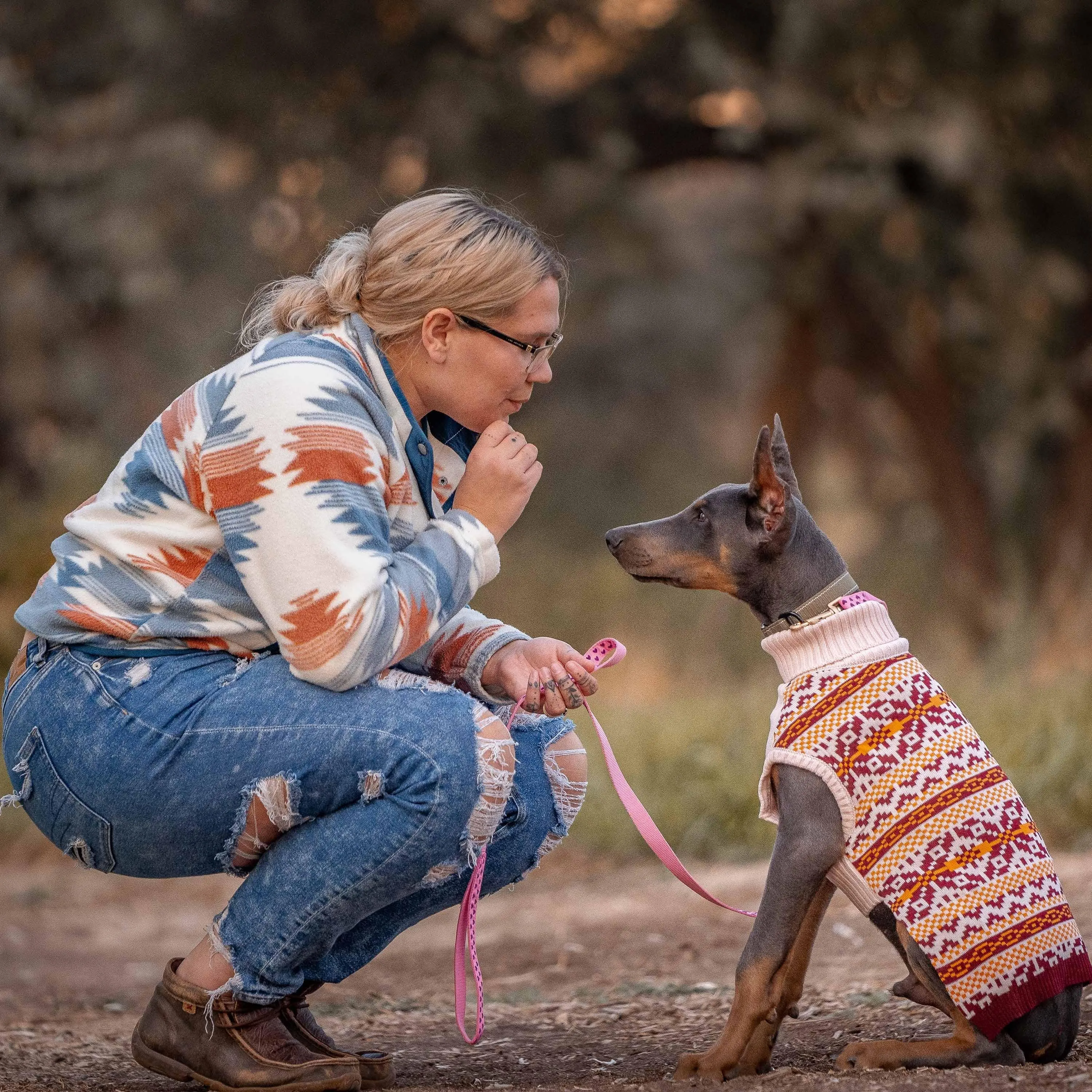 Fair Isle Dog Sweater