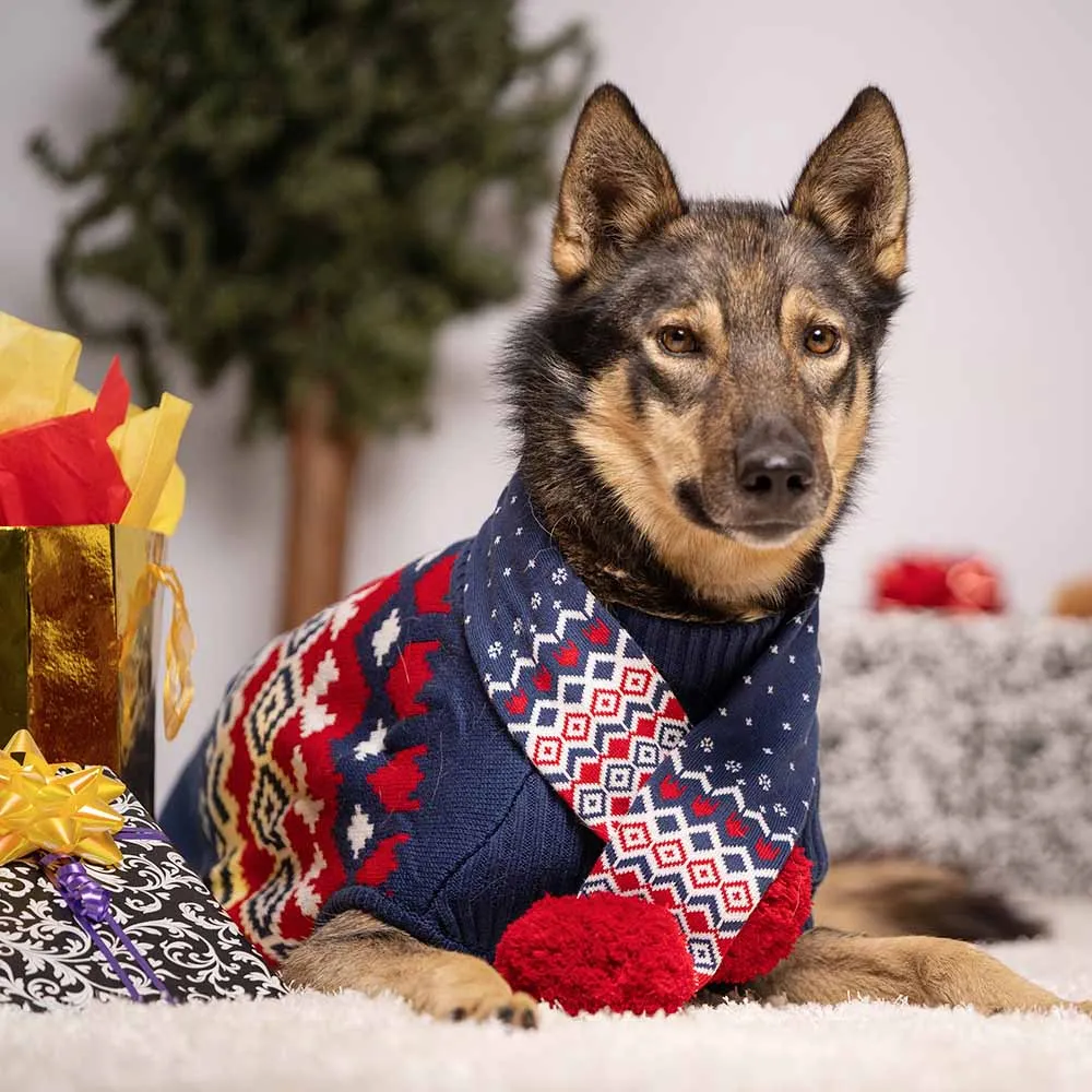 Festive Fair Isle Family Matching Sweater in Navy Blue